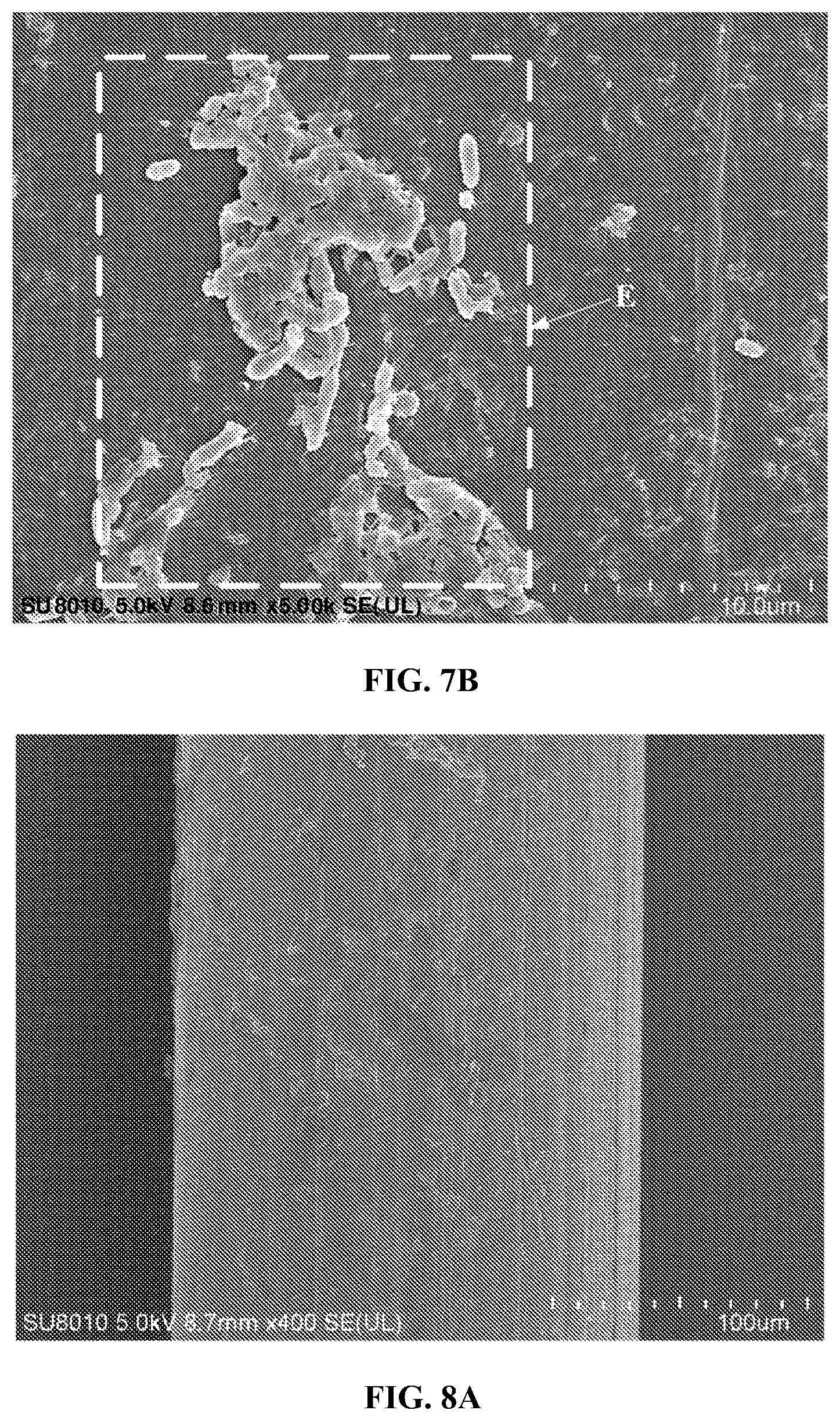 Patent US12569057 Figure 6 – Toothbrush filament and preparation method therefor, and toothbrush