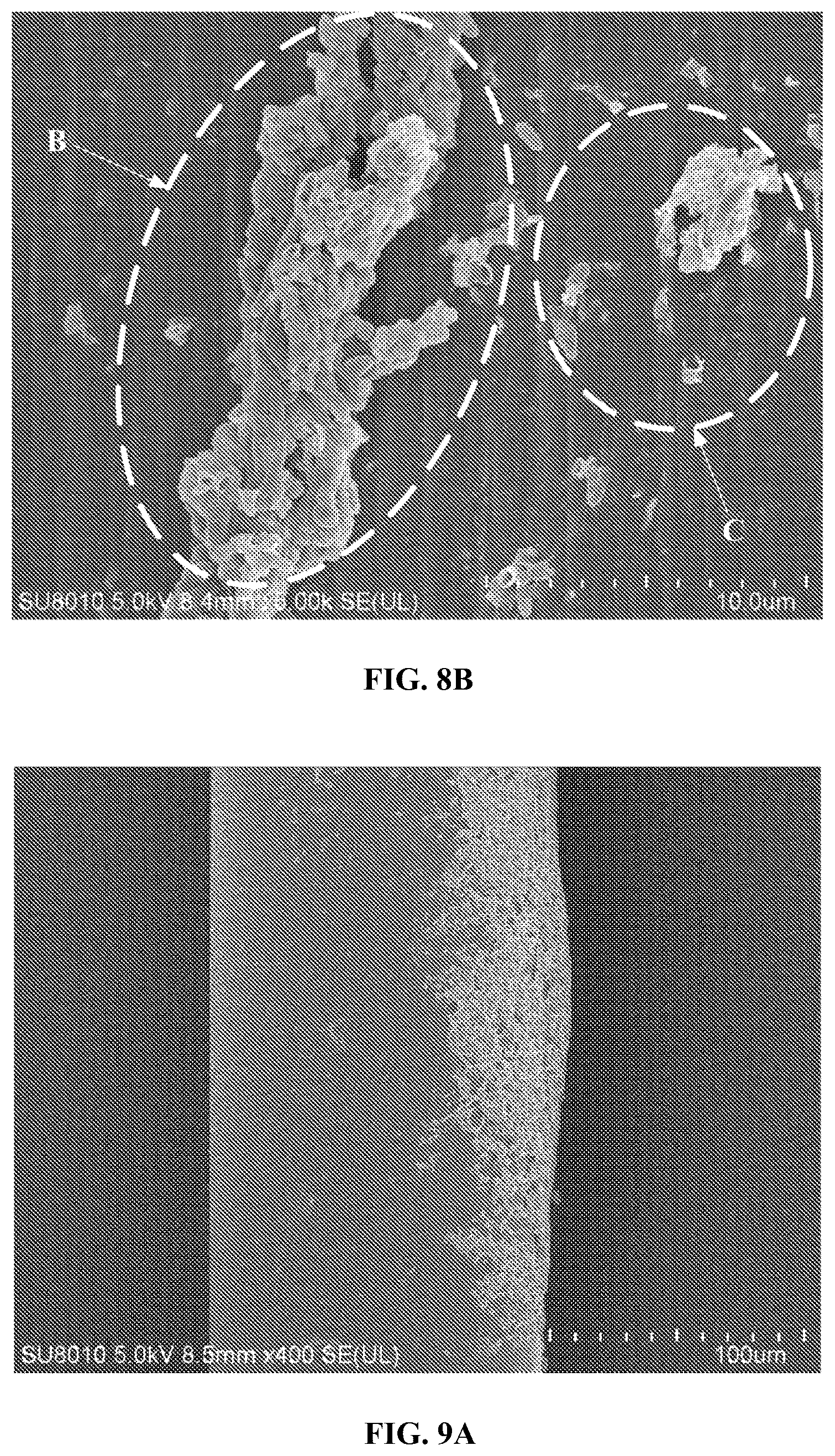 Patent US12569057 Figure 7 – Toothbrush filament and preparation method therefor, and toothbrush