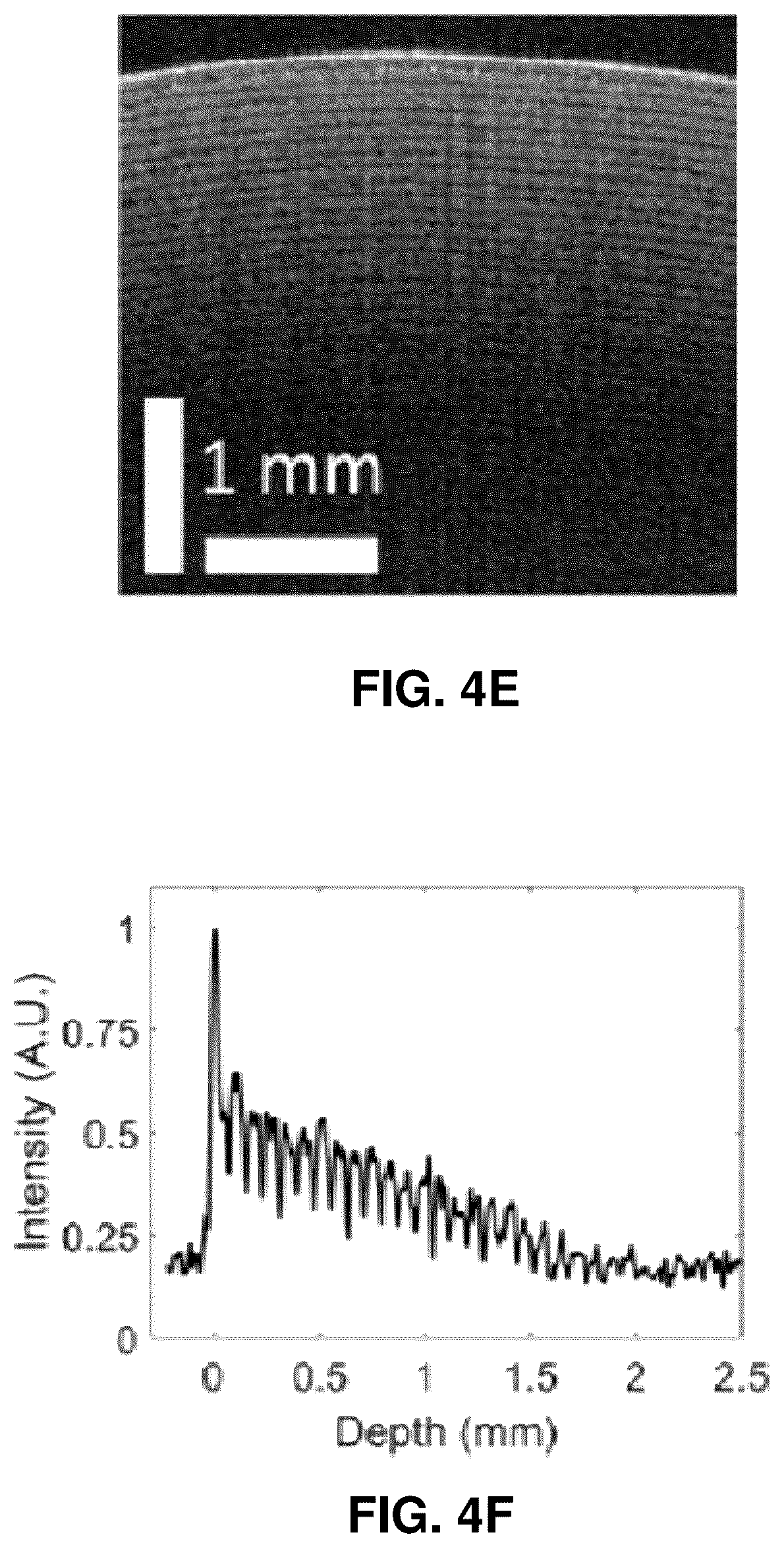 Patent US12569140 Figure 6 – Fiber-based multimodal biophotonic imaging and spectroscopy system