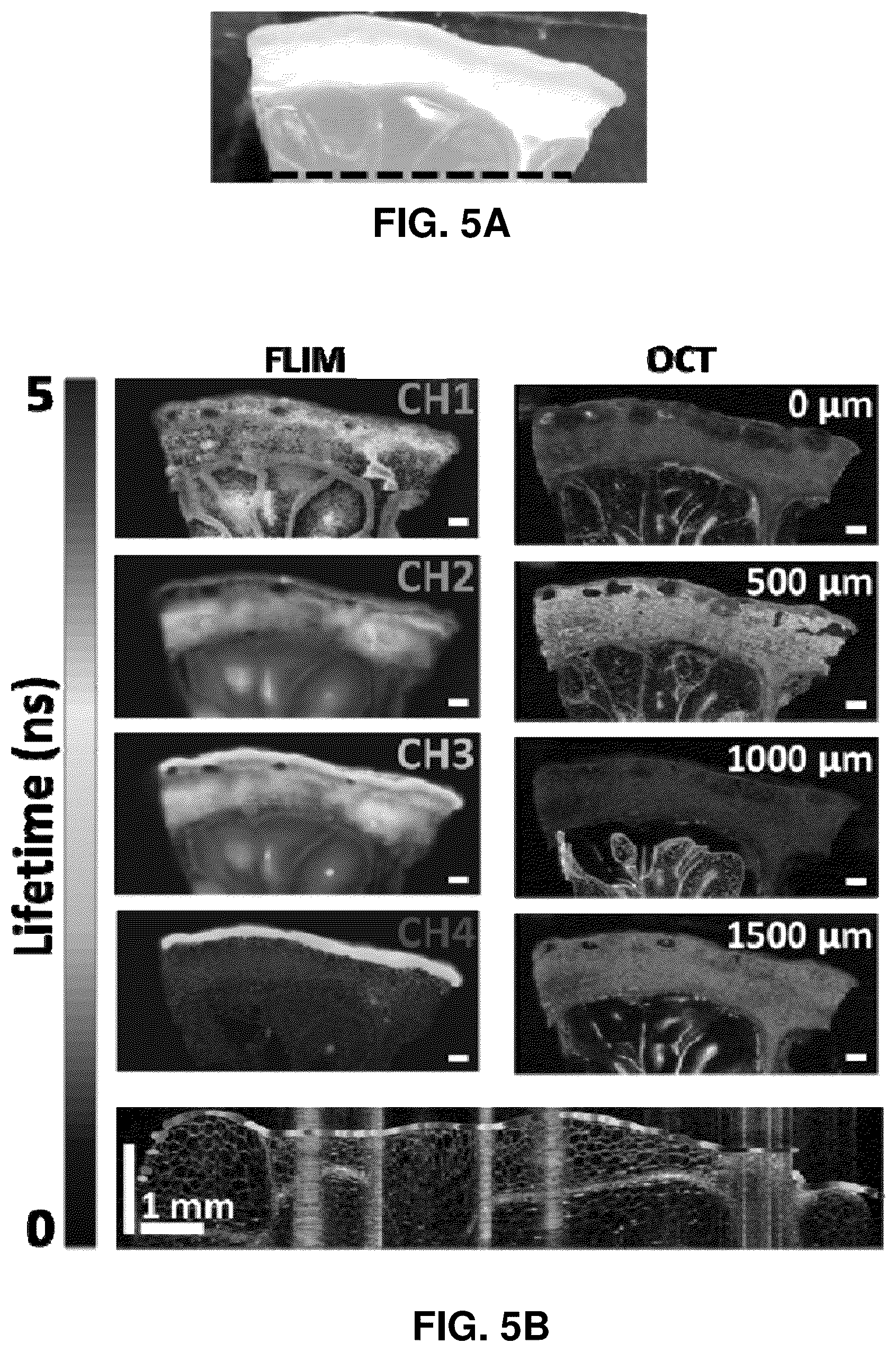 Patent US12569140 Figure 7 – Fiber-based multimodal biophotonic imaging and spectroscopy system