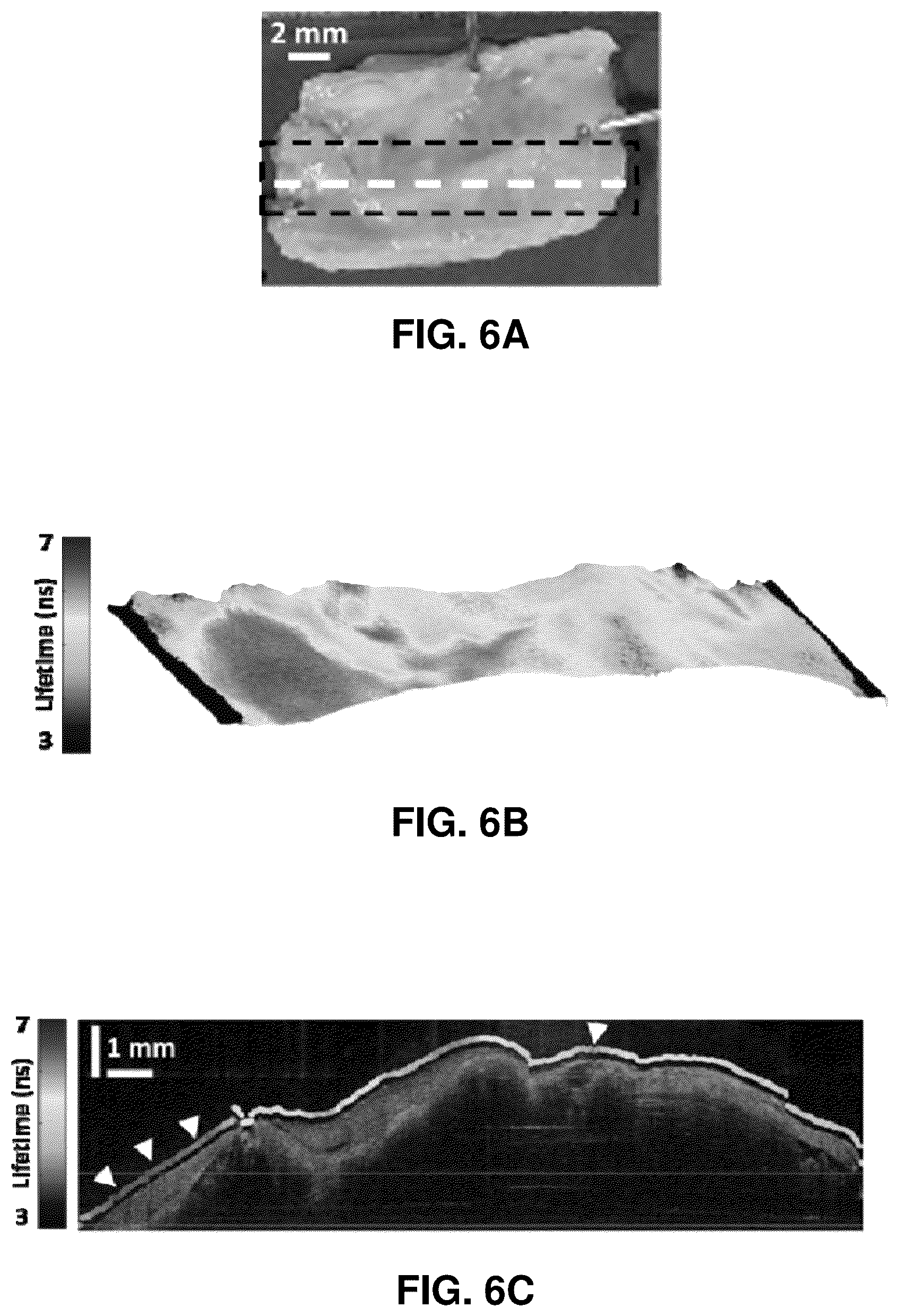 Patent US12569140 Figure 8 – Fiber-based multimodal biophotonic imaging and spectroscopy system