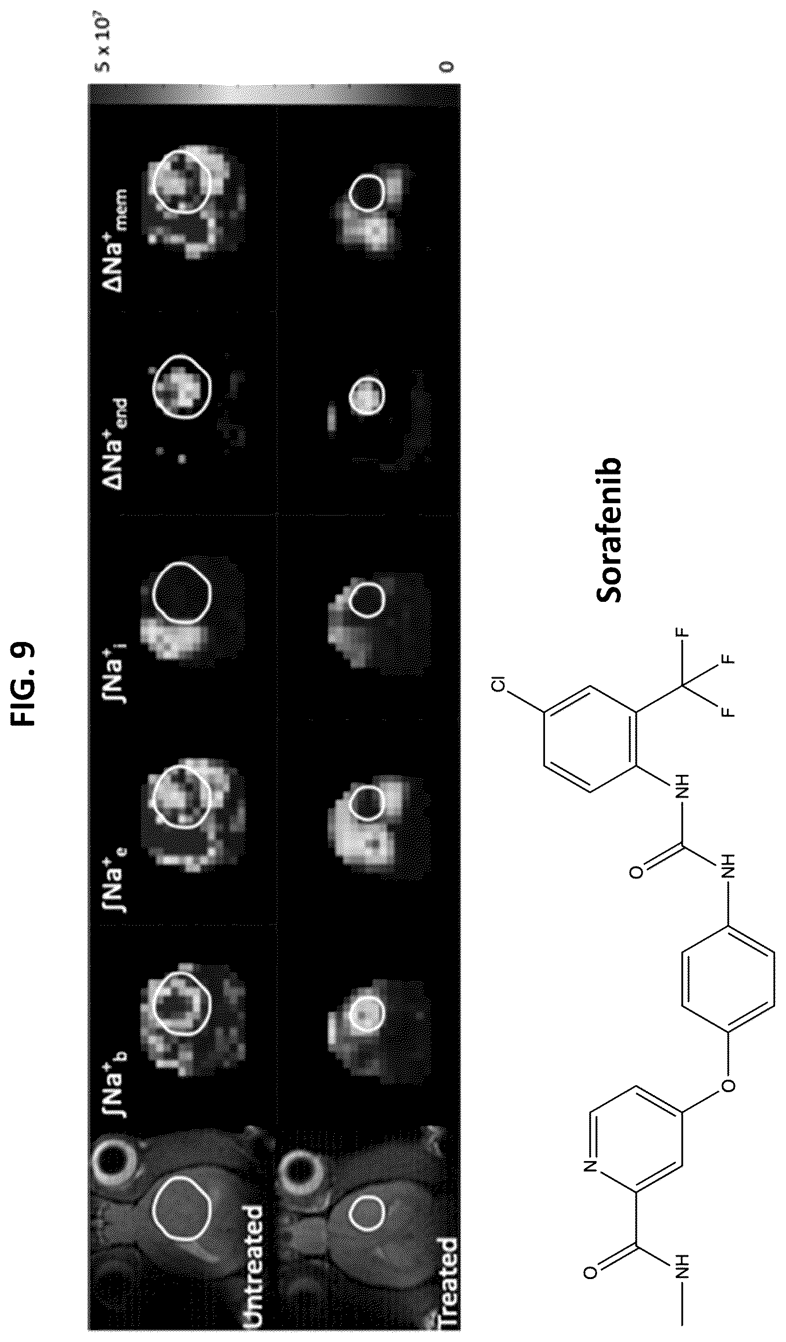 Patent US12569170 Figure 10 – Paramagnetic sodium NMR macrocyclic-based biosensors, and associated methods