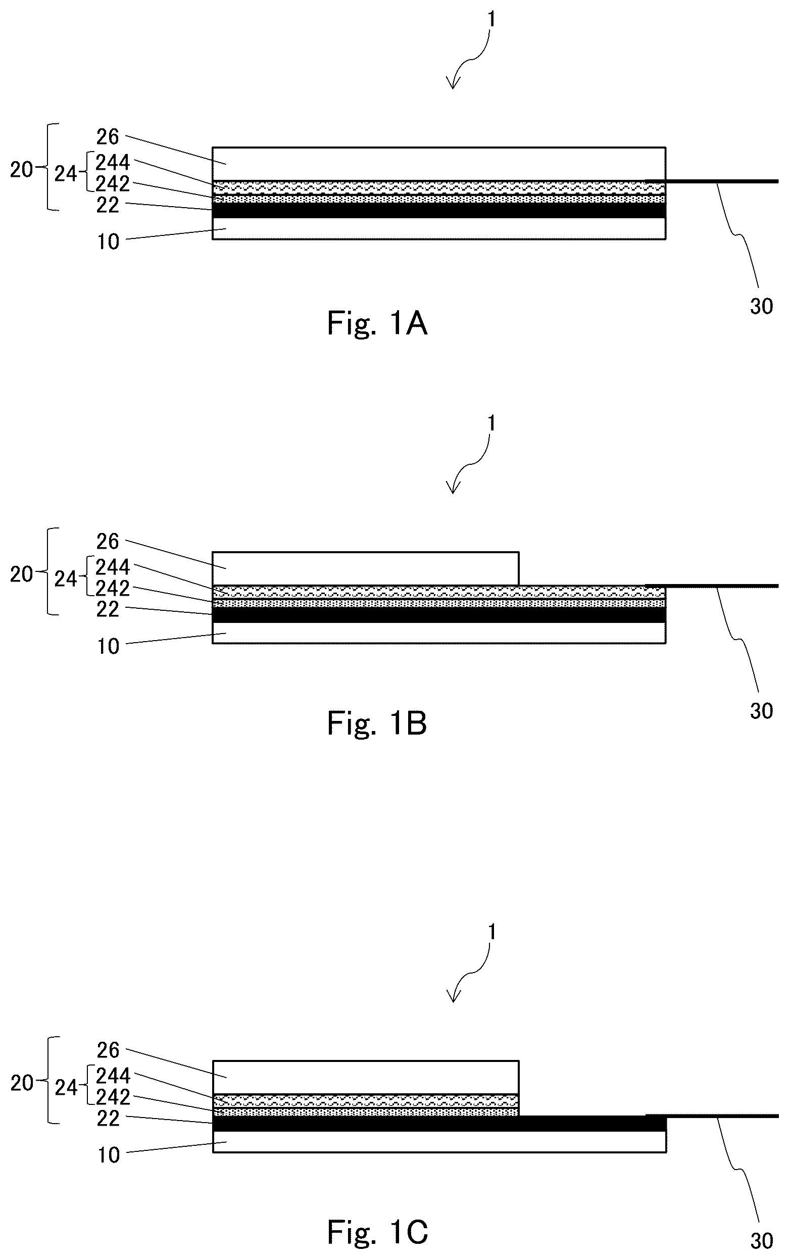 Patent US12569178 Figure 1 – Electrode