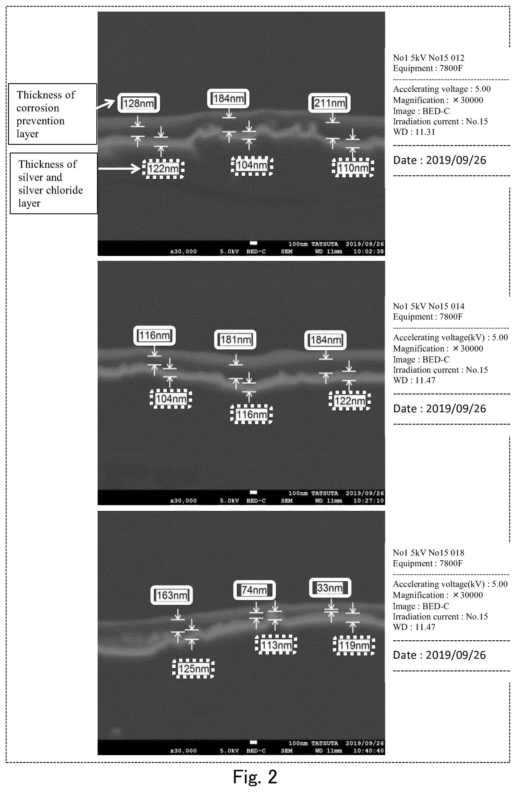 Patent US12569178 Figure 2 – Electrode