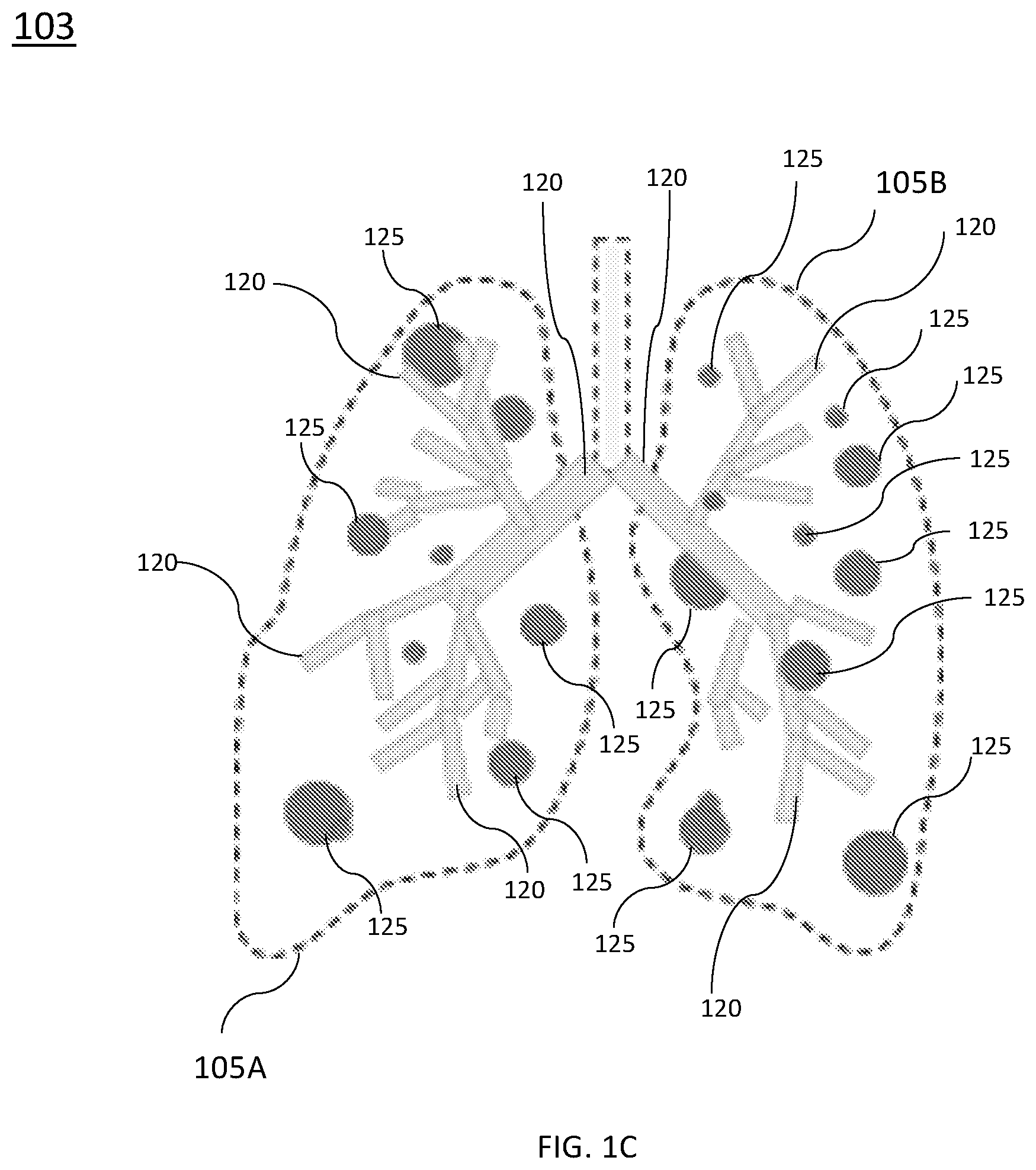 Patent US12569218 Figure 2 – Systems, devices, and methods for performing active auscultation and detecting acoustic signals and/or sonic energy measurements