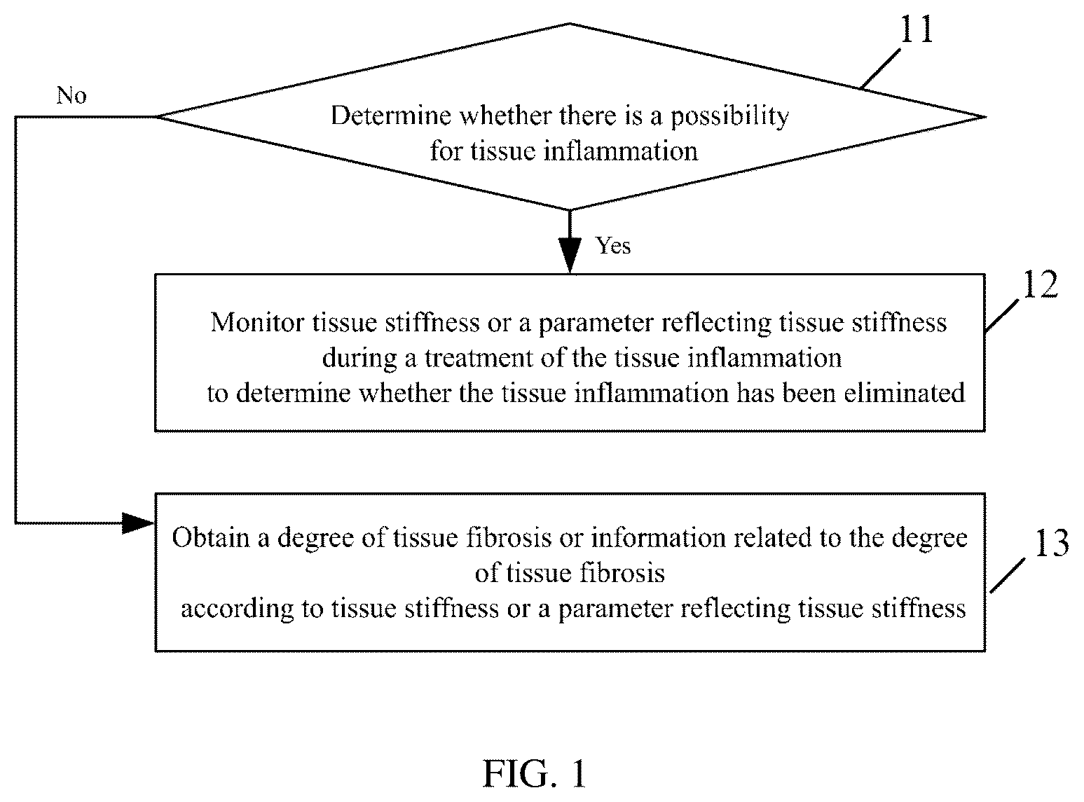Patent US12569225 Figure 1 – Method and device for detecting tissue fibrosis