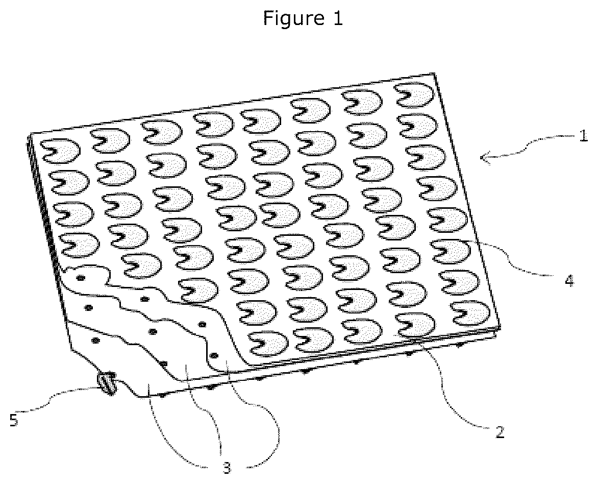 Patent US12569326 Figure 1 – Laminated tissue graft product