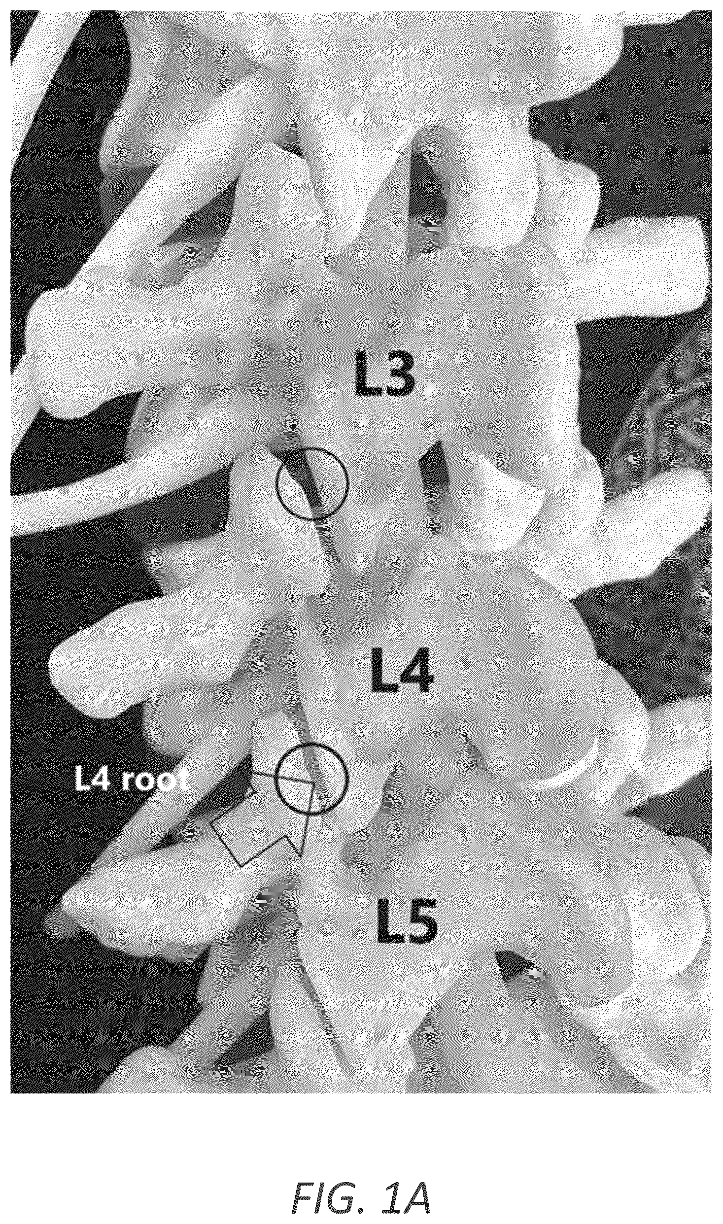 Patent US12569352 Figure 1 – Minimally invasive robotic assisted trans-facet lumbar interbody fusion