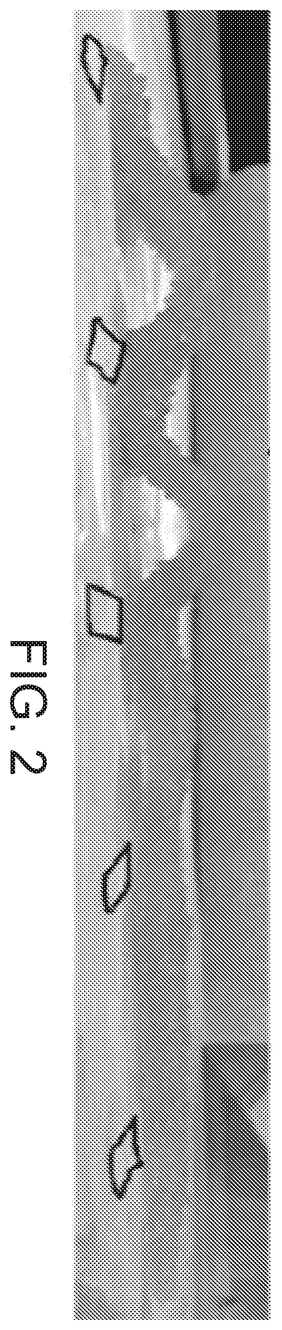 Patent US12569378 Figure 2 – Responsive absorbent articles