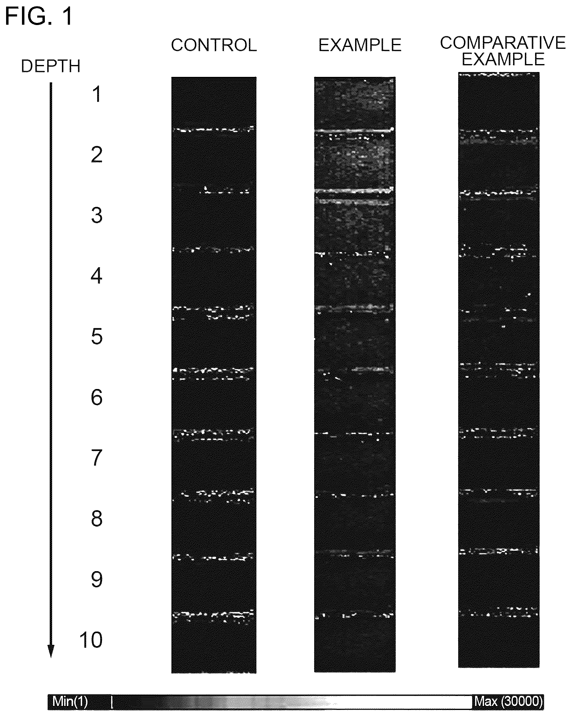 Patent US12569429 Figure 1 – Skin penetration enhancer for royal jelly