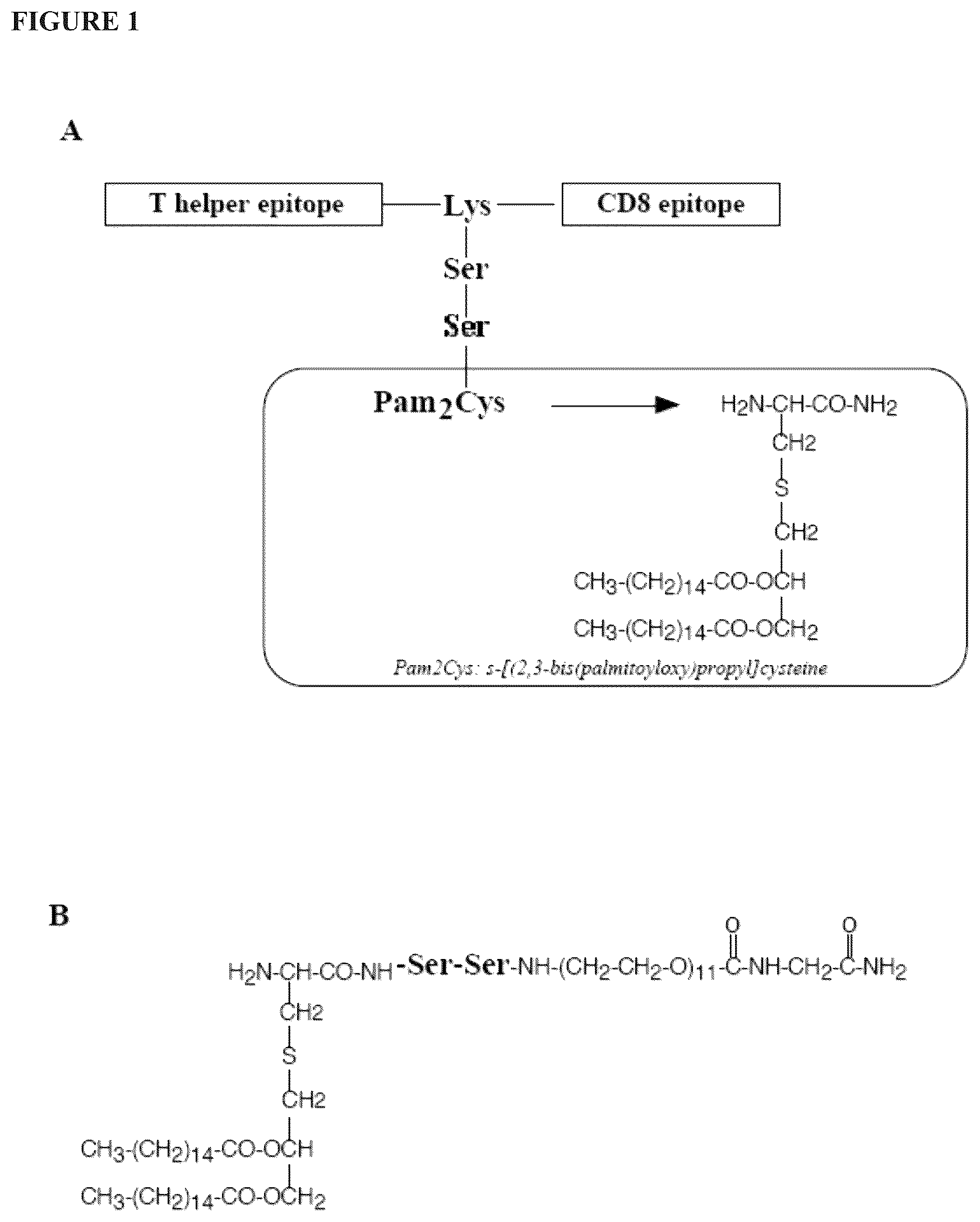 Patent US12569431 Figure 1 – Immunostimulatory method