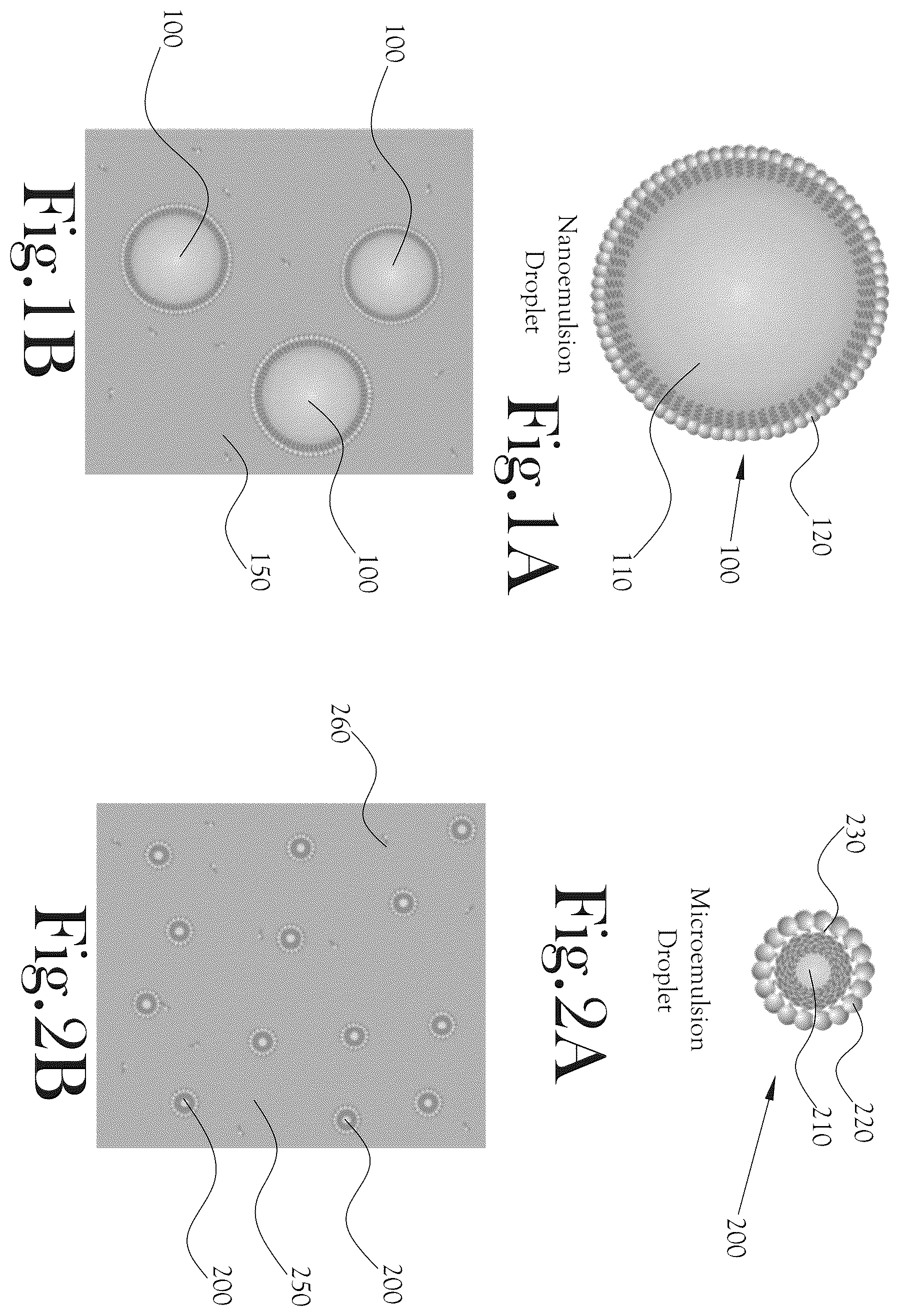 Patent US12569433 Figure 1 – Microemulsion delivery systems for water-based beverages