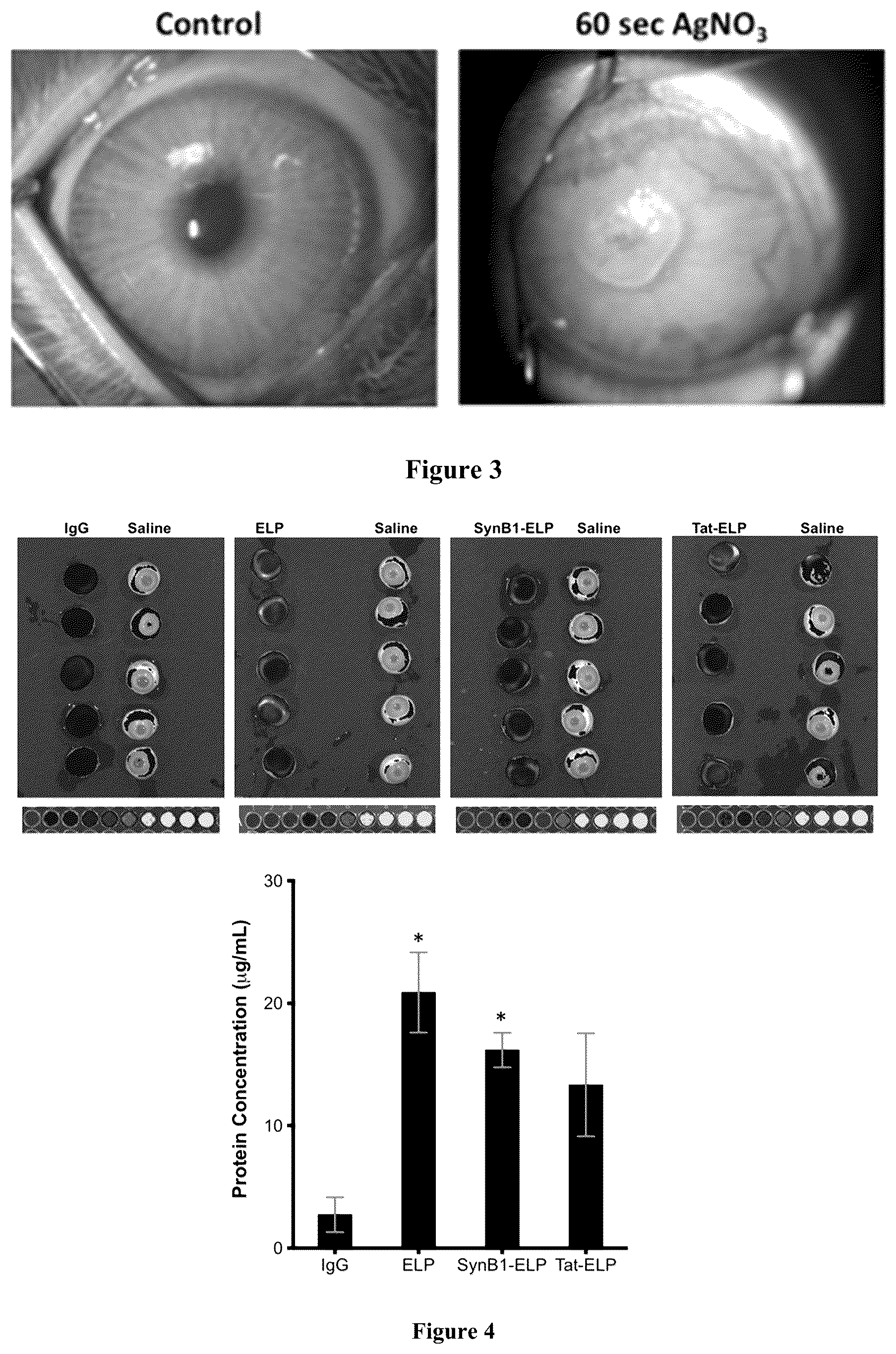 Patent US12569435 Figure 2 – Ocular compositions and methods thereof