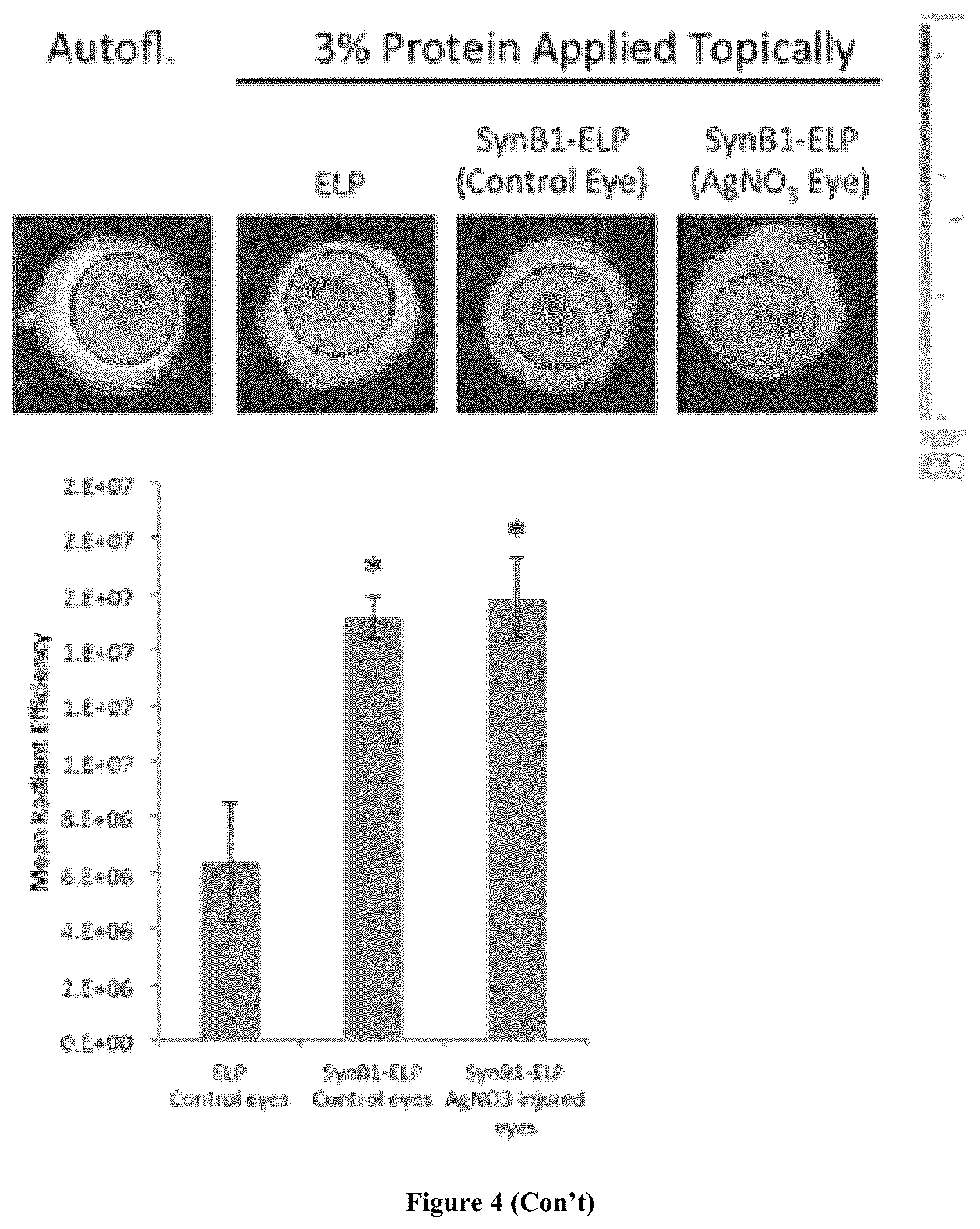 Patent US12569435 Figure 3 – Ocular compositions and methods thereof
