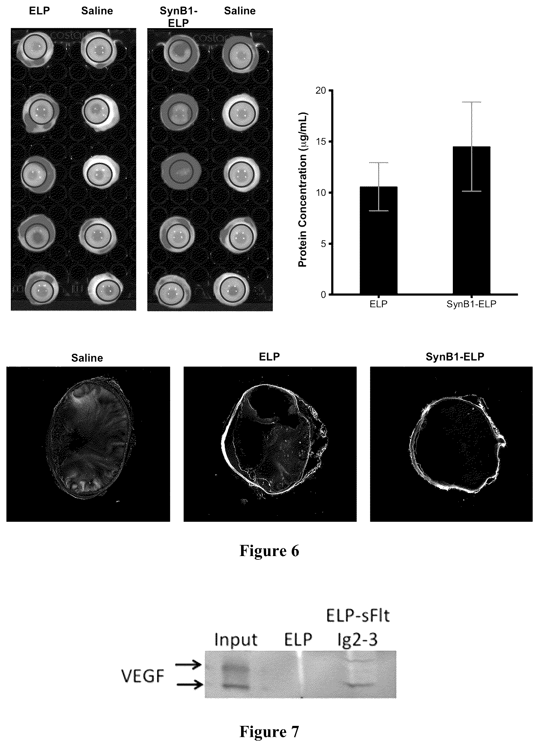 Patent US12569435 Figure 5 – Ocular compositions and methods thereof