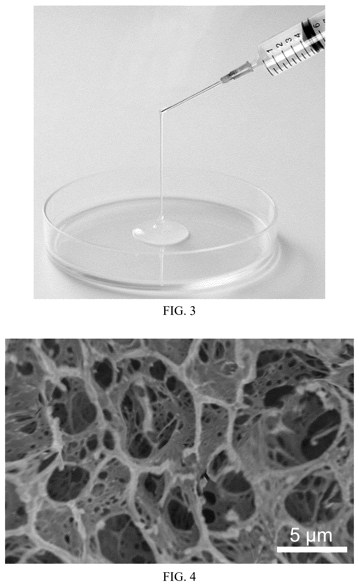 Patent US12569436 Figure 2 – Self-regulating photo-curable cooling hydrogel and preparation method and application thereof