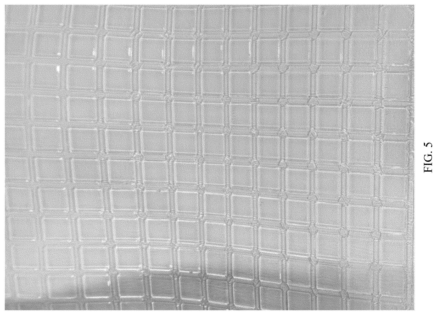 Patent US12569436 Figure 3 – Self-regulating photo-curable cooling hydrogel and preparation method and application thereof