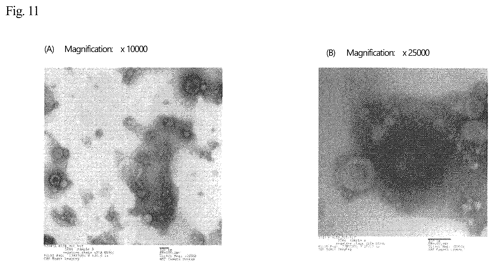Patent US12569437 Figure 6 – Disease-site-specific liposomal formulation