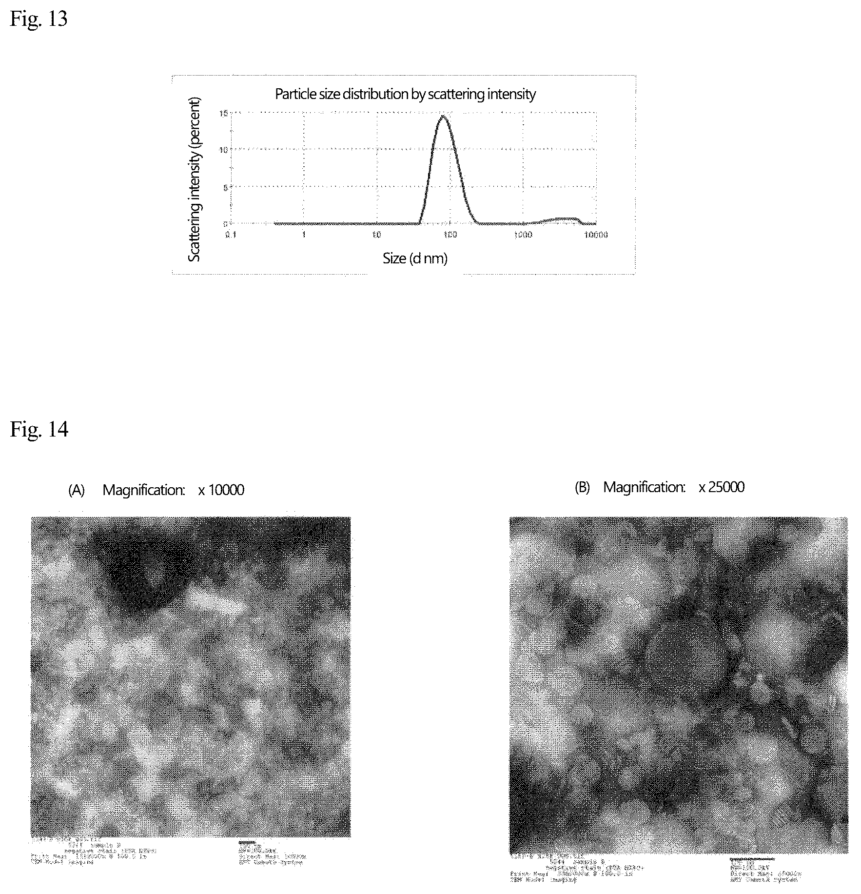 Patent US12569437 Figure 8 – Disease-site-specific liposomal formulation