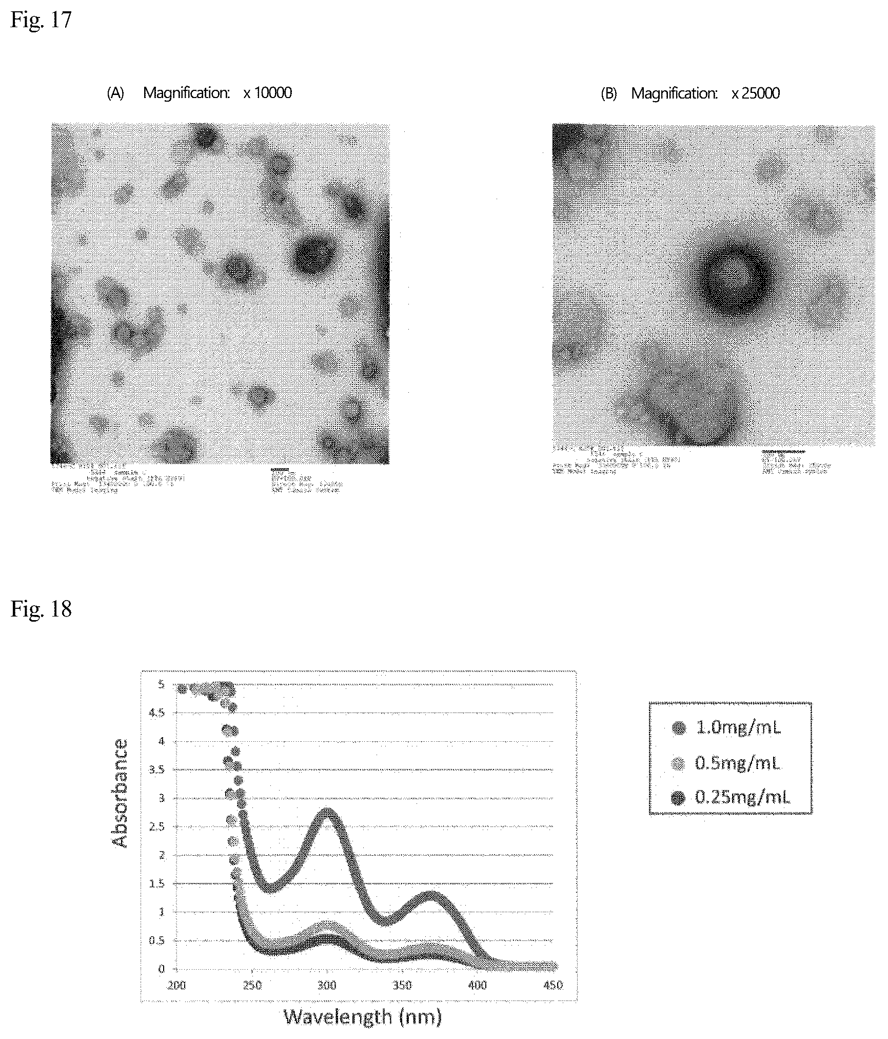 Patent US12569437 Figure 10 – Disease-site-specific liposomal formulation