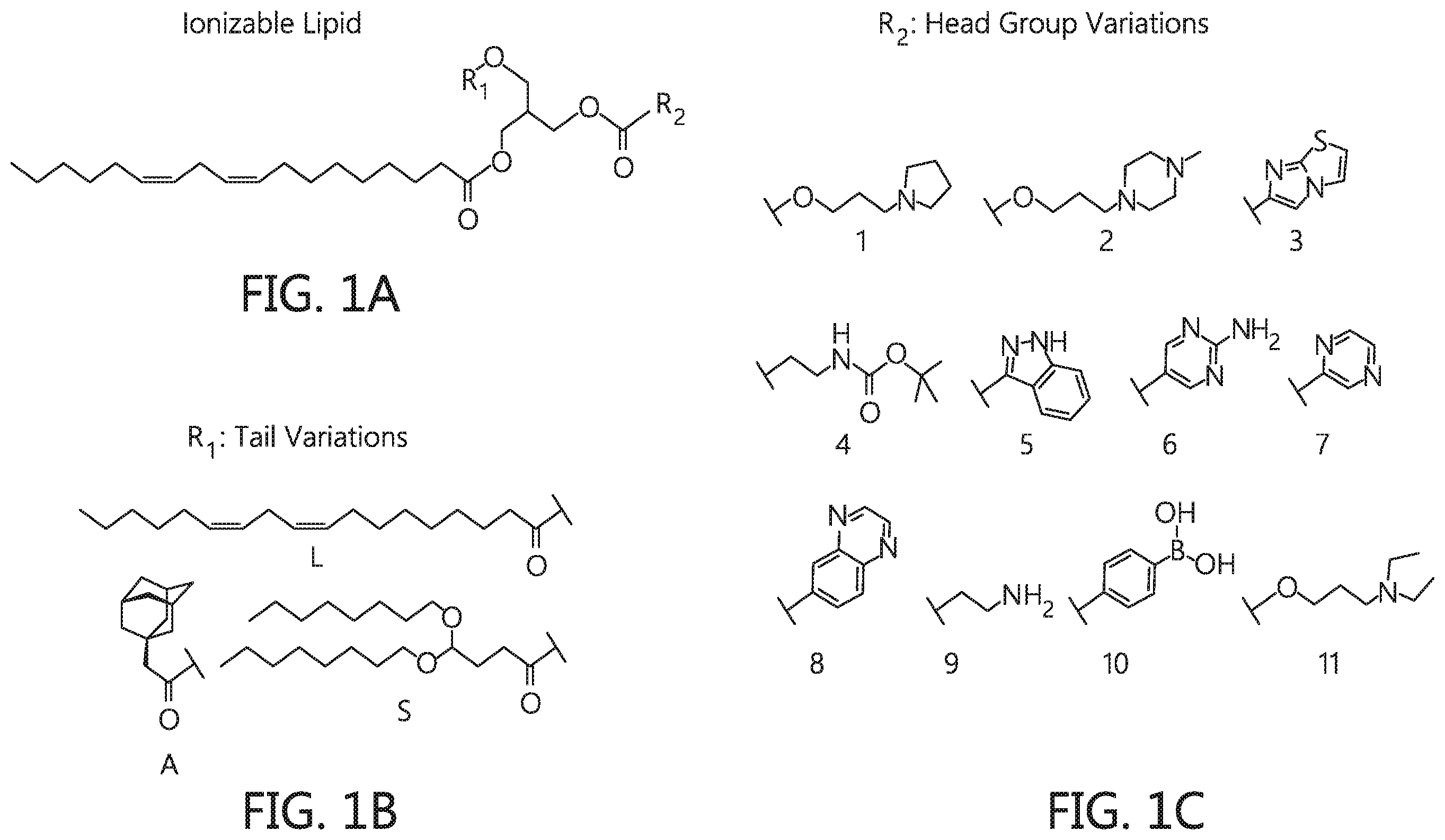 Patent US12569438 — Nanomaterials containing constrained lipids and uses thereof — Figure 1