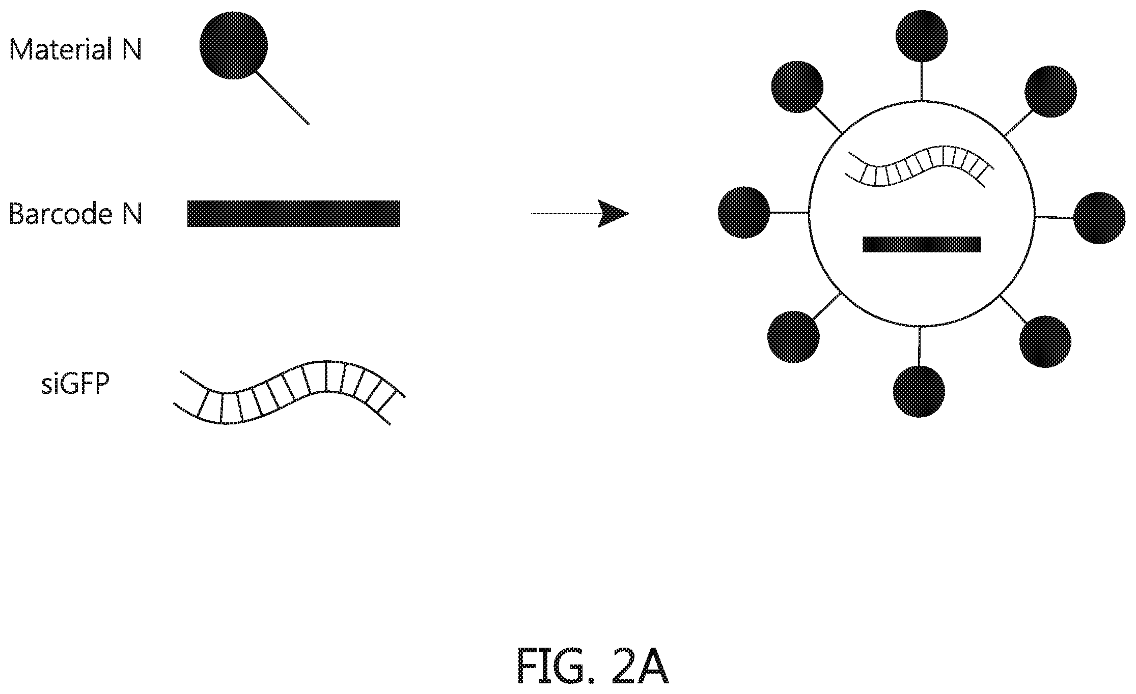 Patent US12569438 Figure 5 – Nanomaterials containing constrained lipids and uses thereof