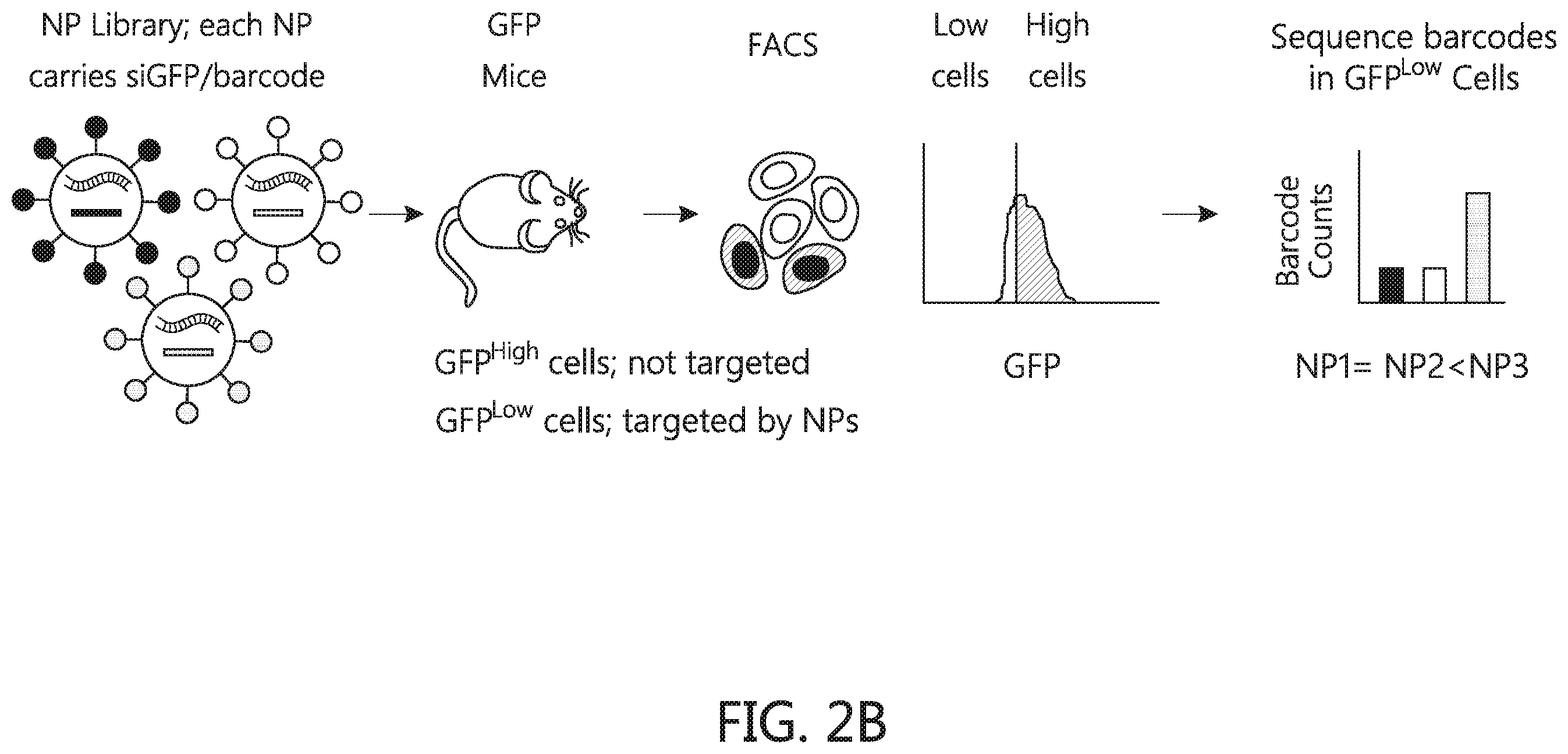 Patent US12569438 Figure 6 – Nanomaterials containing constrained lipids and uses thereof