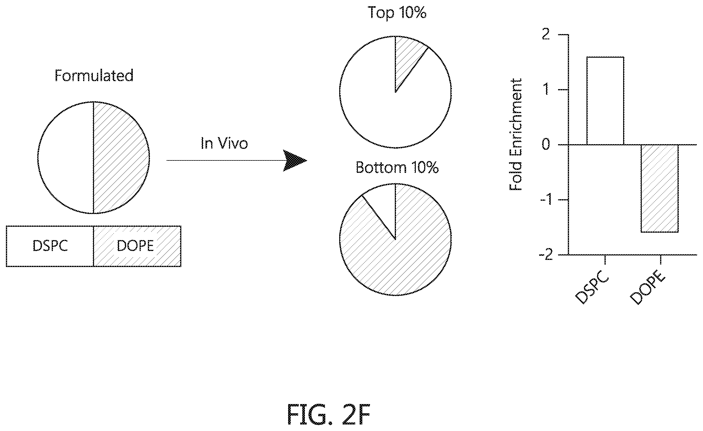 Patent US12569438 Figure 9 – Nanomaterials containing constrained lipids and uses thereof