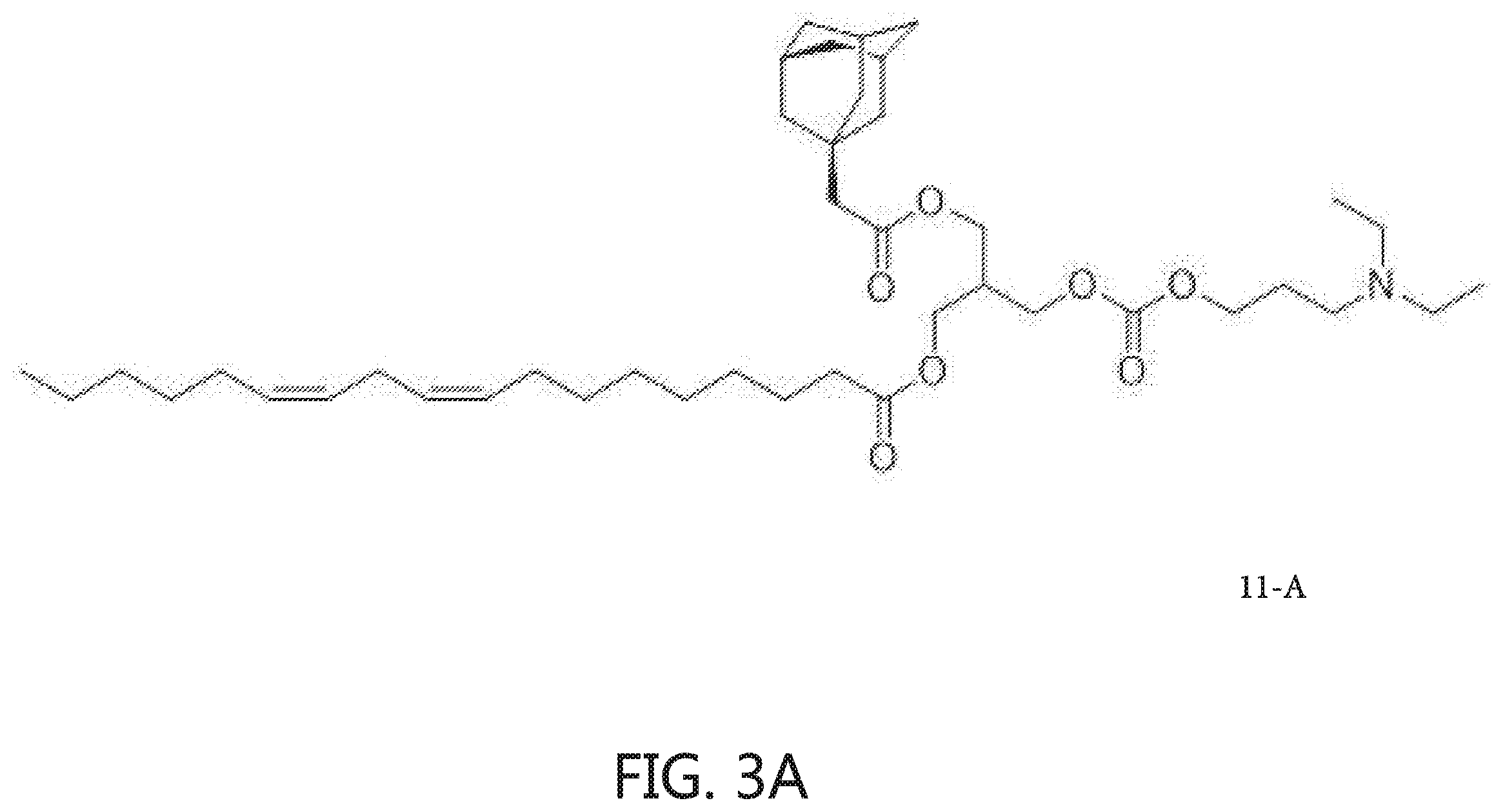 Patent US12569438 Figure 13 – Nanomaterials containing constrained lipids and uses thereof