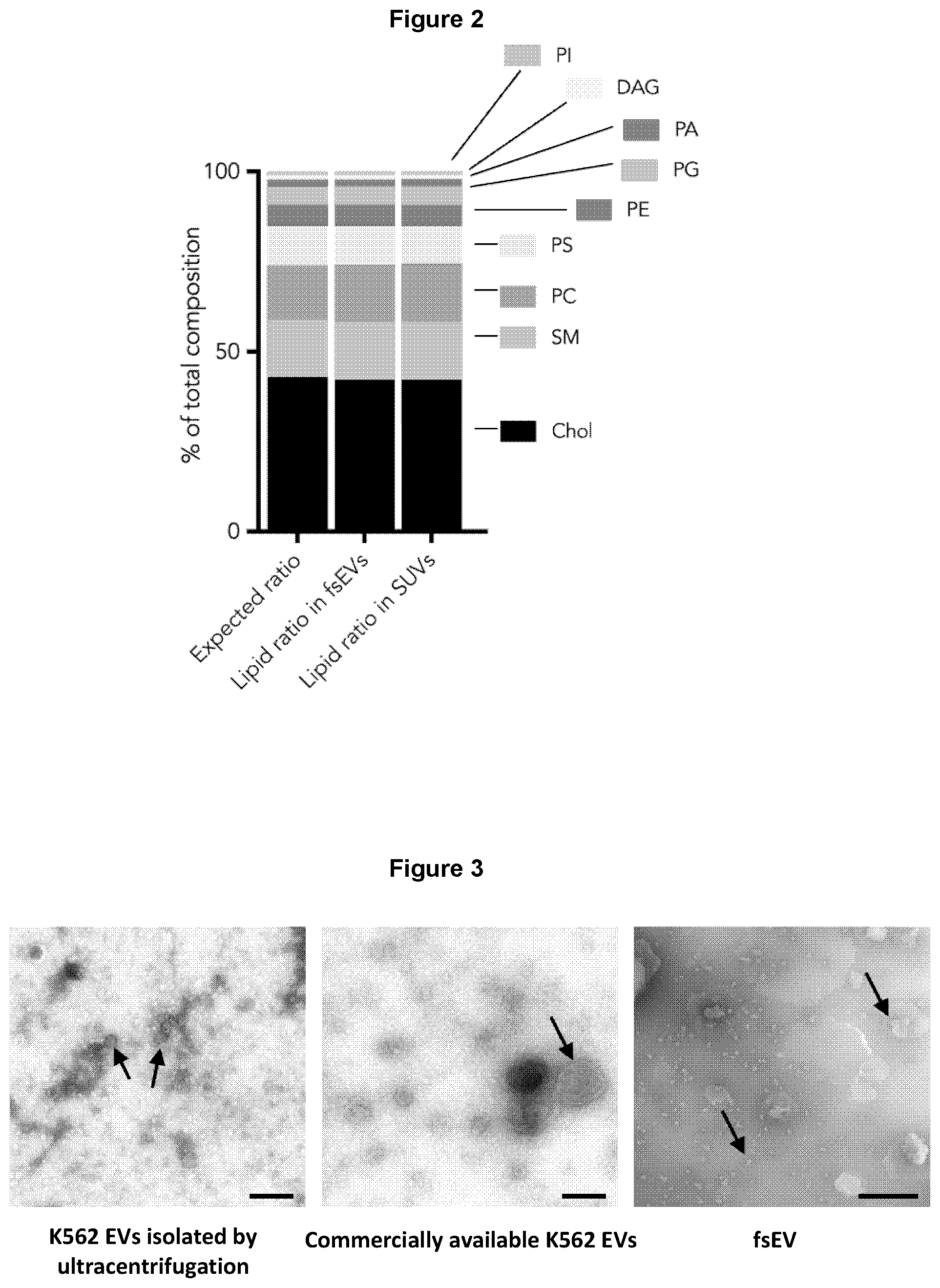 Patent US12569439 Figure 2 – Bottom-up assembly of synthetic extracellular vesicles