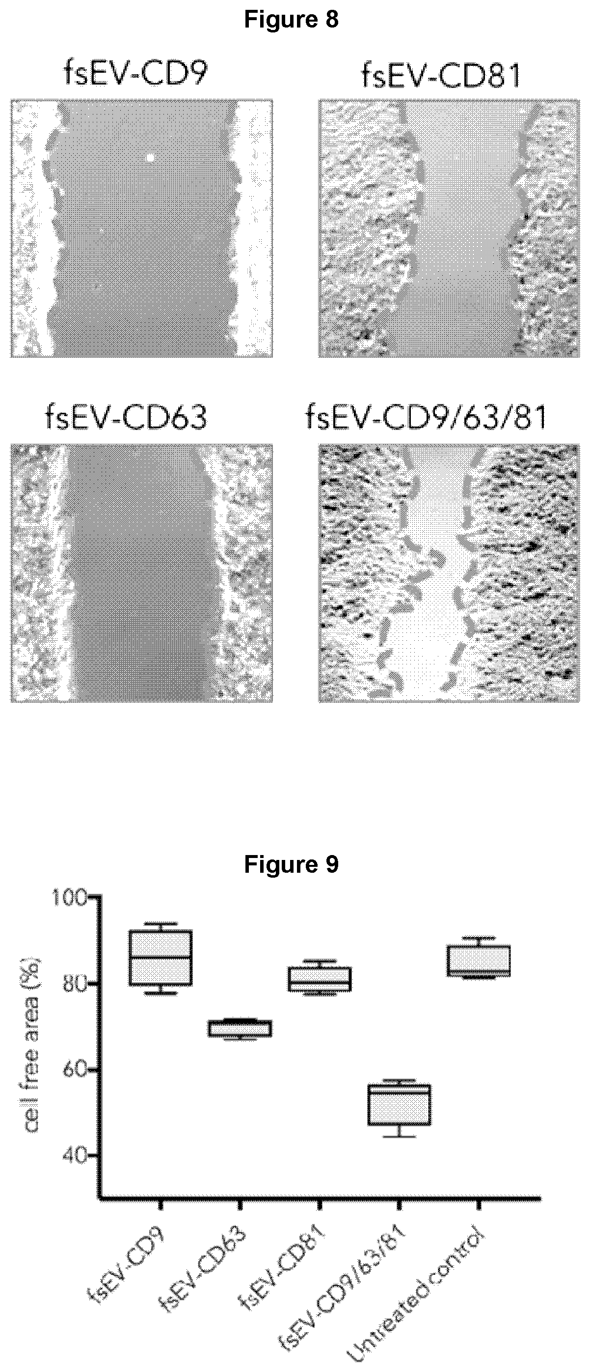 Patent US12569439 Figure 5 – Bottom-up assembly of synthetic extracellular vesicles