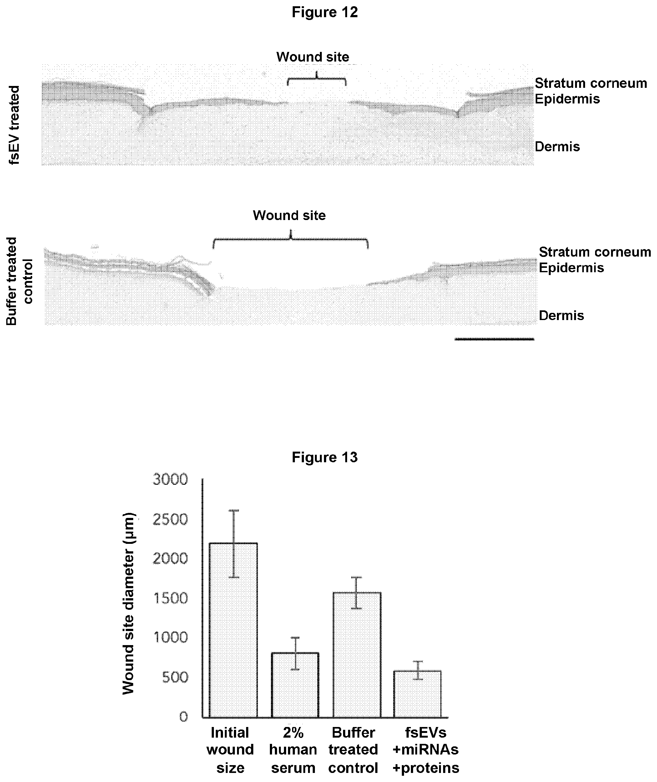 Patent US12569439 Figure 7 – Bottom-up assembly of synthetic extracellular vesicles