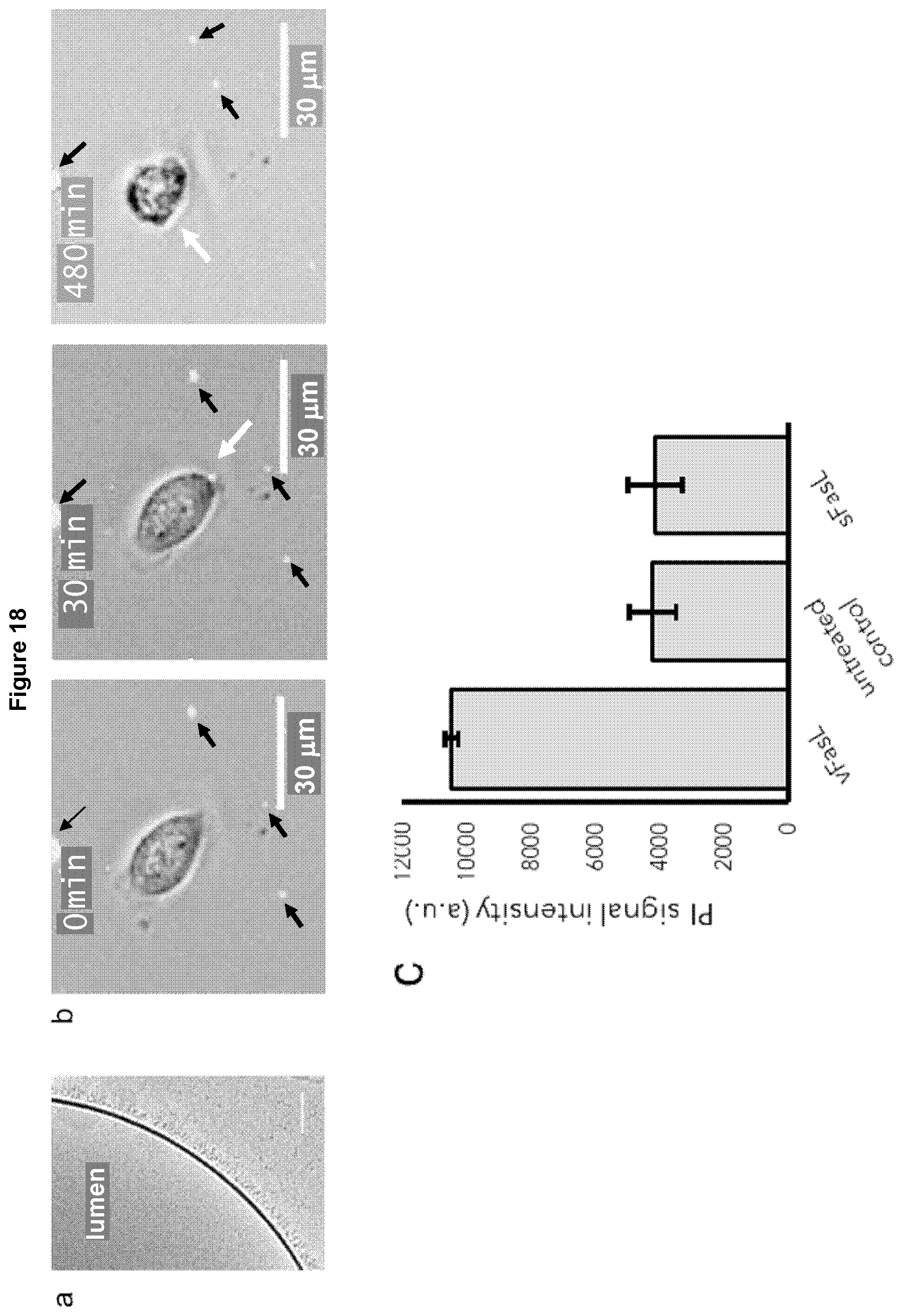 Patent US12569439 Figure 10 – Bottom-up assembly of synthetic extracellular vesicles