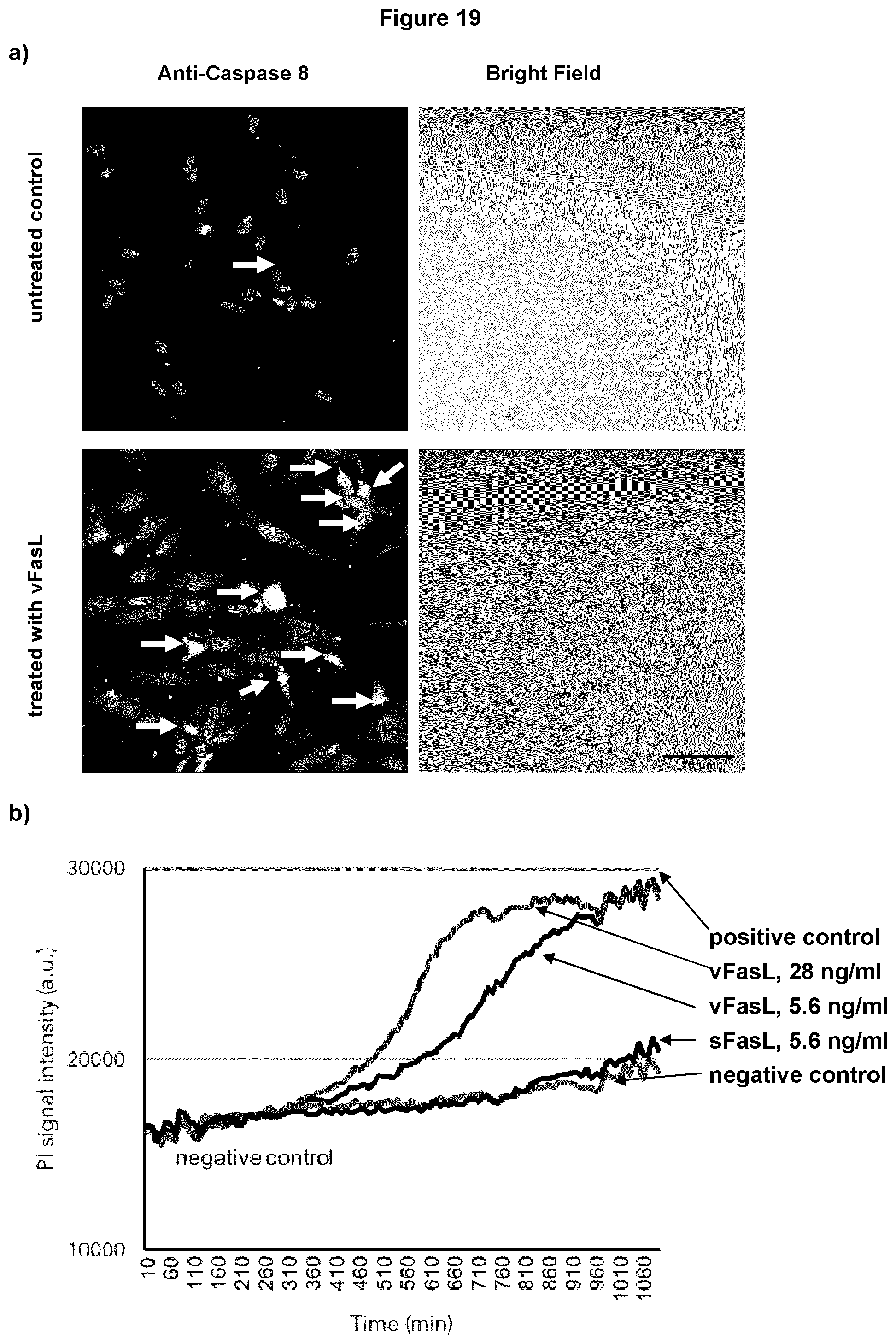 Patent US12569439 Figure 11 – Bottom-up assembly of synthetic extracellular vesicles