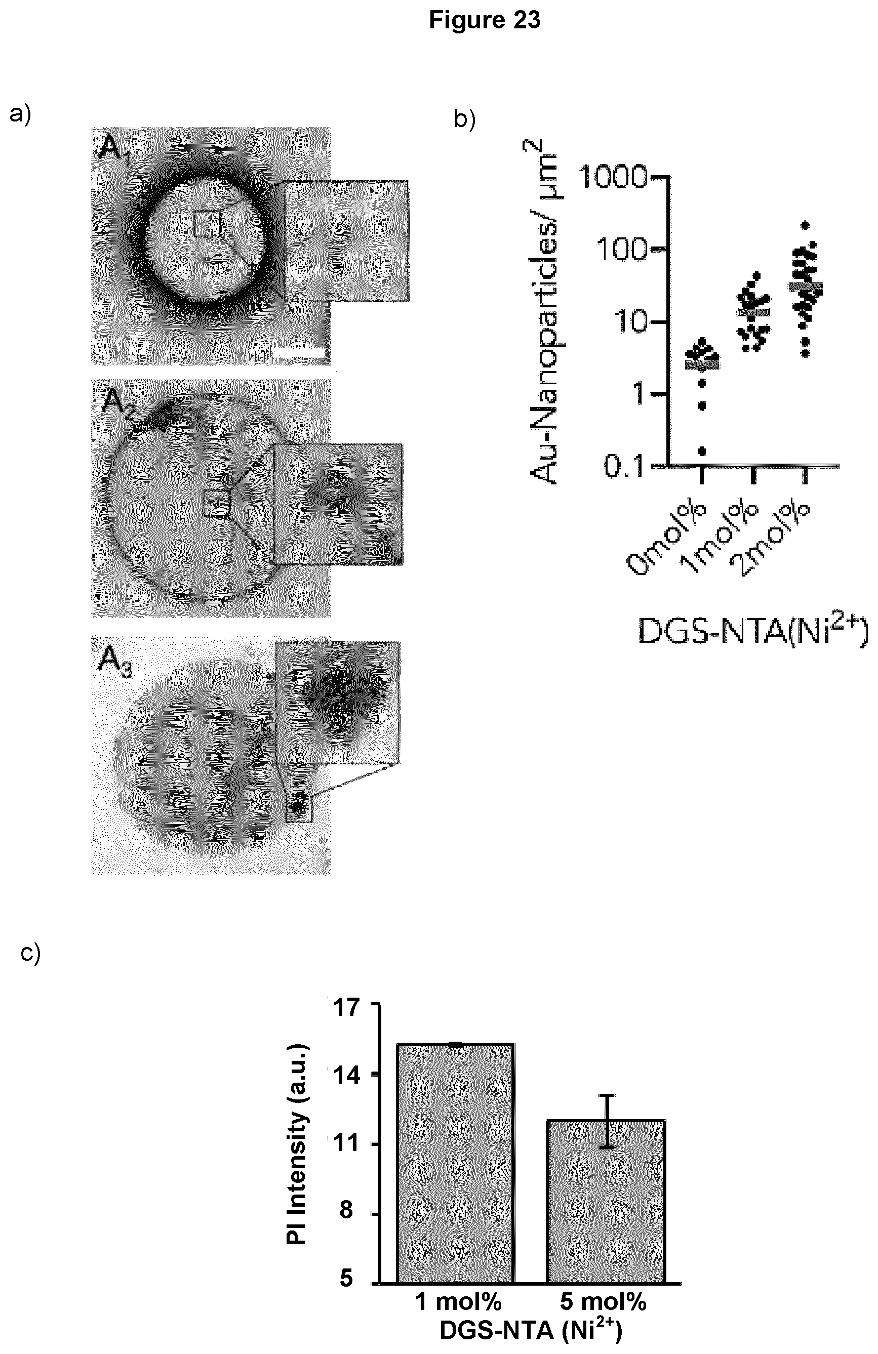 Patent US12569439 Figure 15 – Bottom-up assembly of synthetic extracellular vesicles