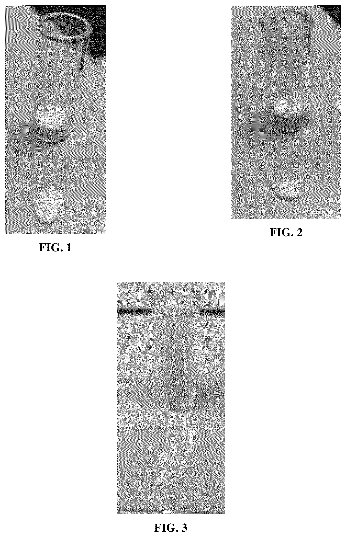 Patent US12569440 — Solid formulation of a 1,2,4-oxadiazole derivative — Figure 1