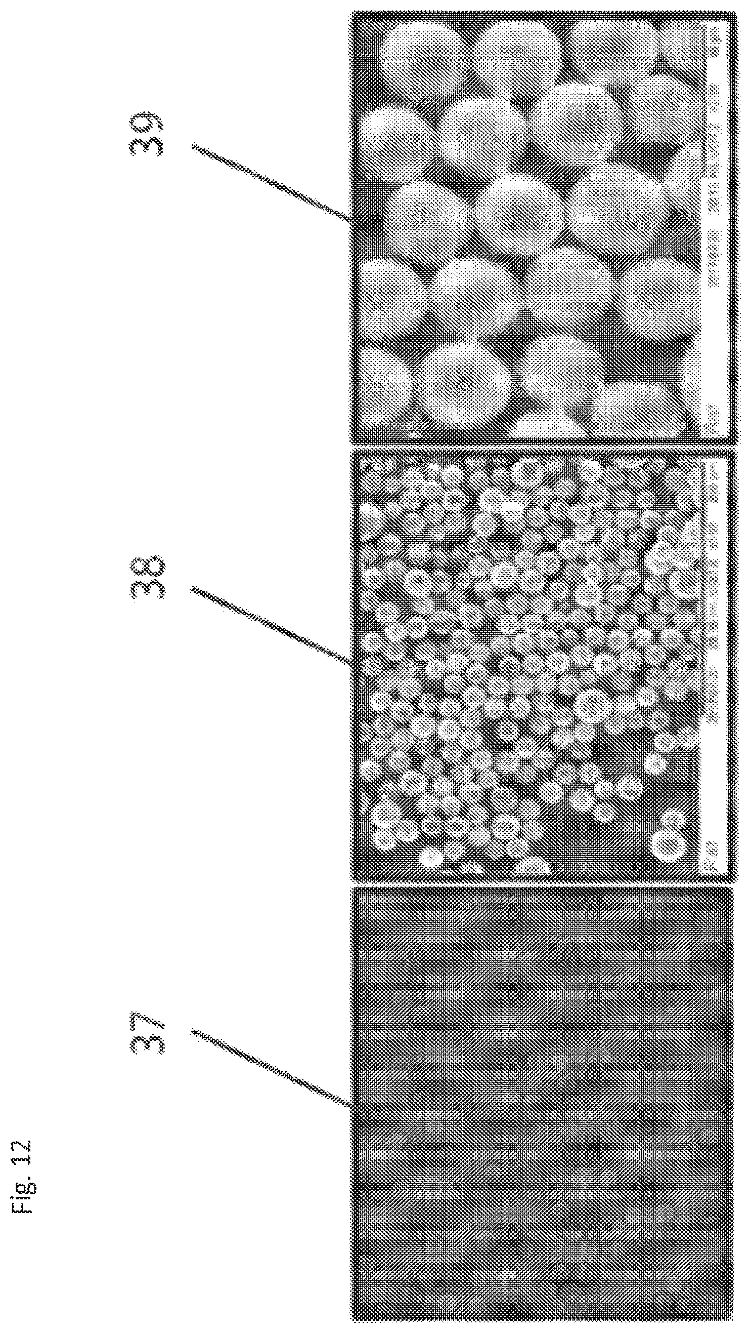 Patent US12569445 Figure 12 – Particles comprising a therapeutic or diagnostic agent and suspensions and methods of use thereof
