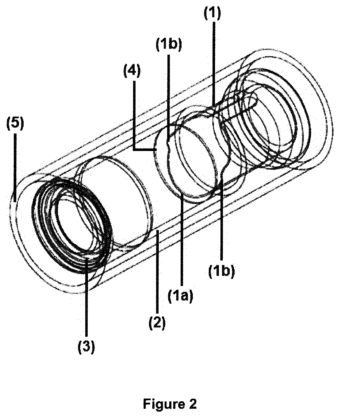 Patent US12569448 Figure 2 – Membrane-based two component therapeutic gas release system for oral administration