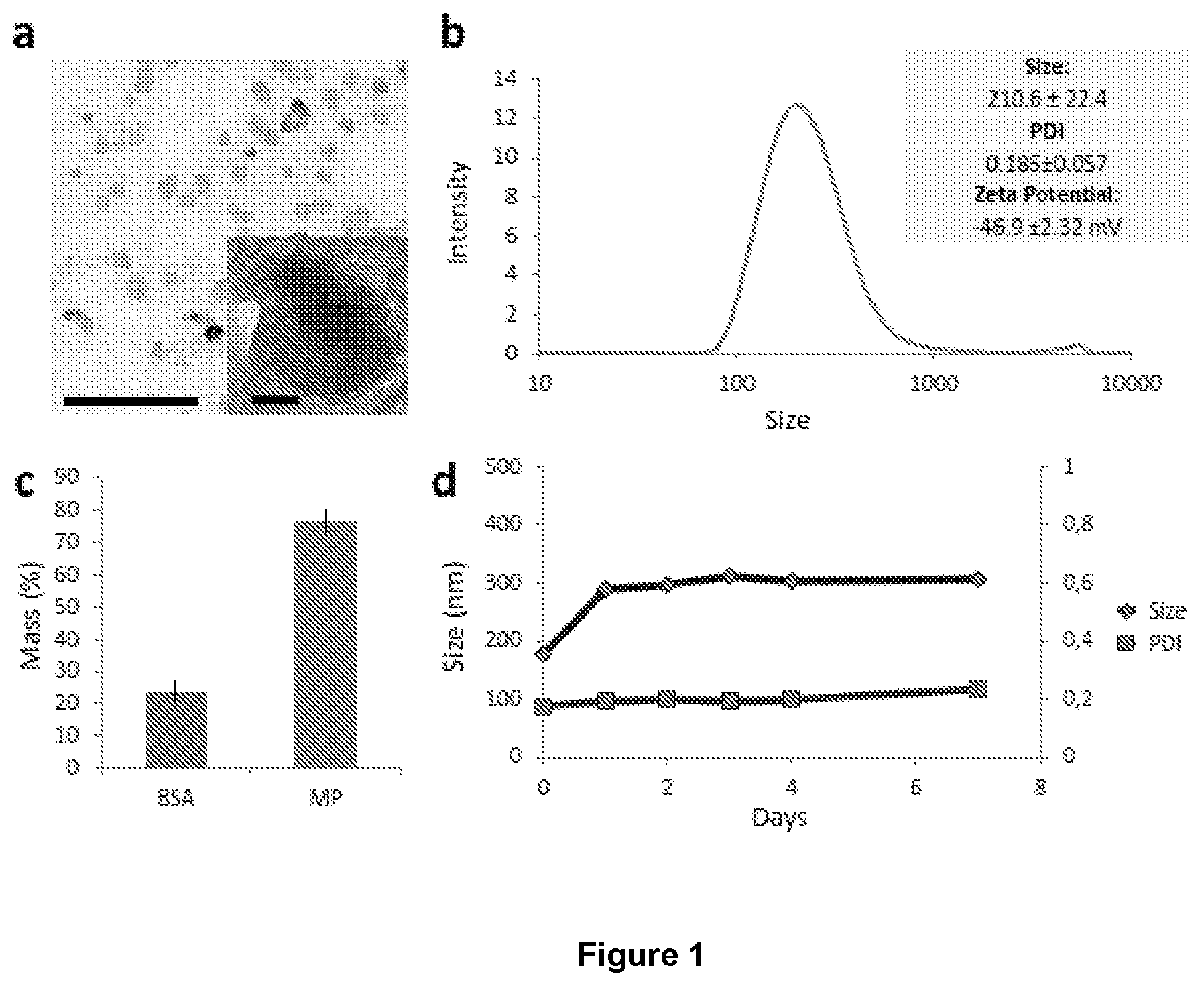 Patent US12569450 Figure 1 – Nanoparticles for medical and diagnostic applications