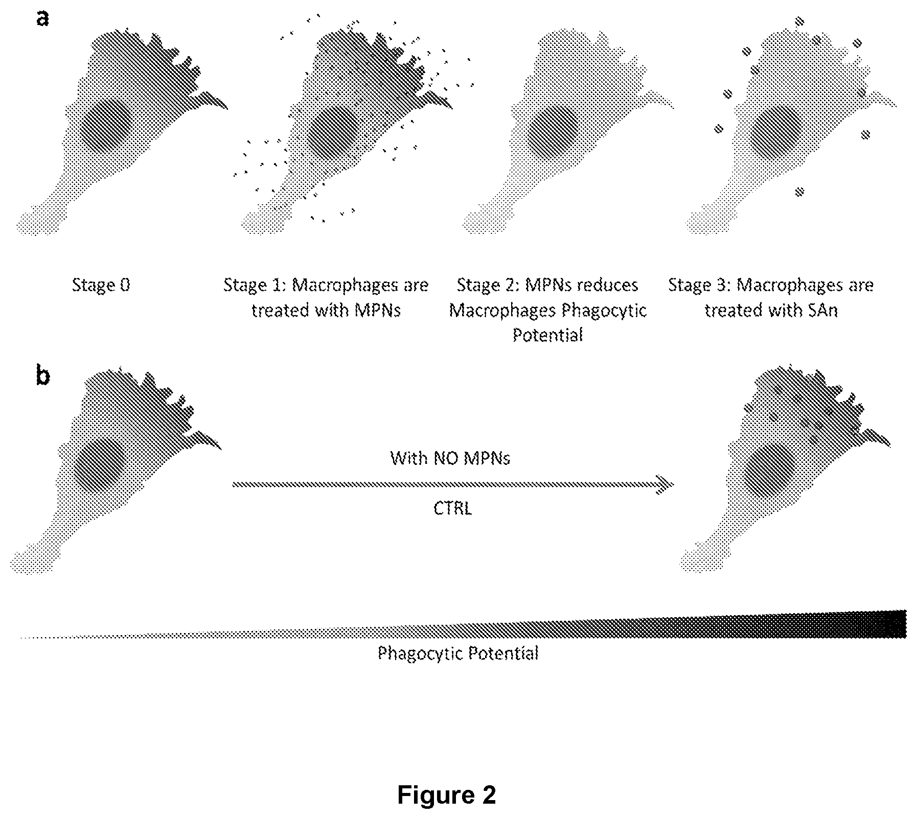 Patent US12569450 Figure 2 – Nanoparticles for medical and diagnostic applications