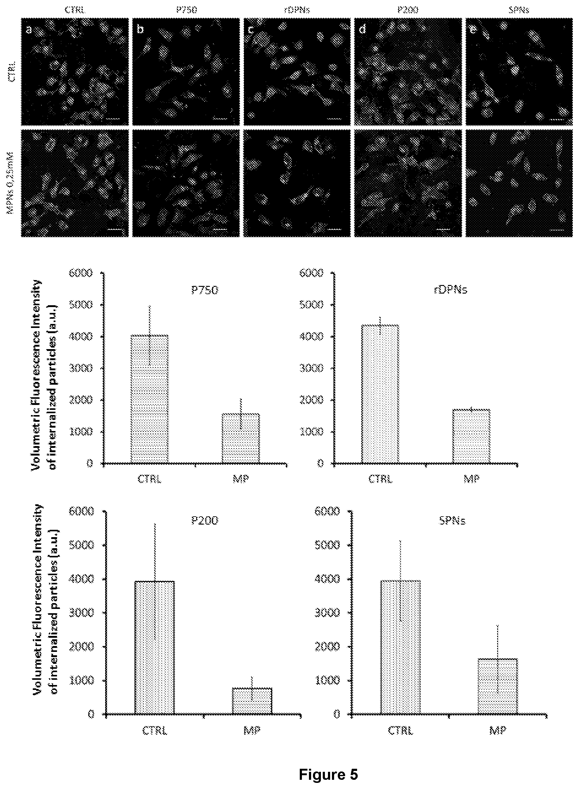 Patent US12569450 Figure 5 – Nanoparticles for medical and diagnostic applications