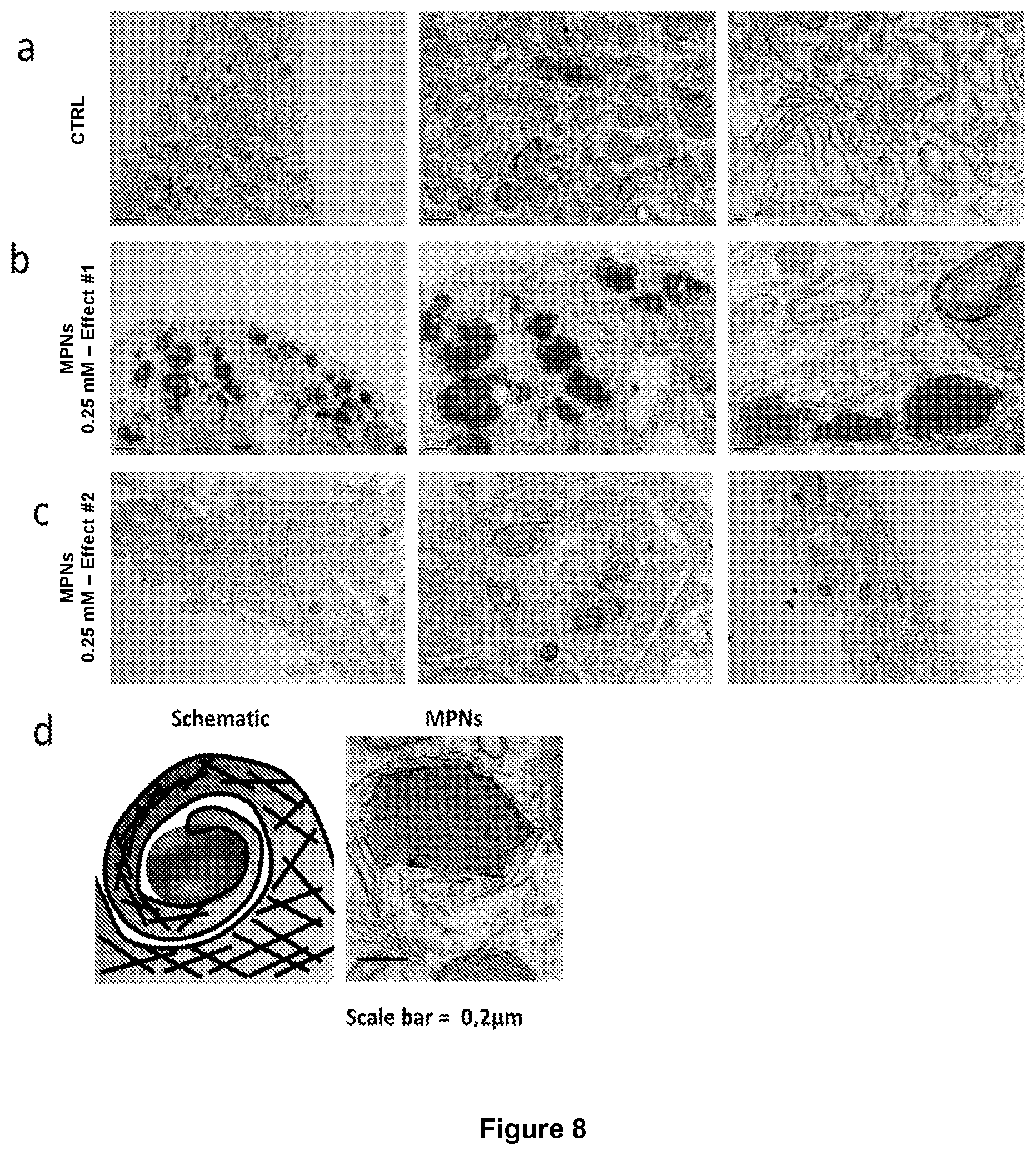 Patent US12569450 Figure 7 – Nanoparticles for medical and diagnostic applications