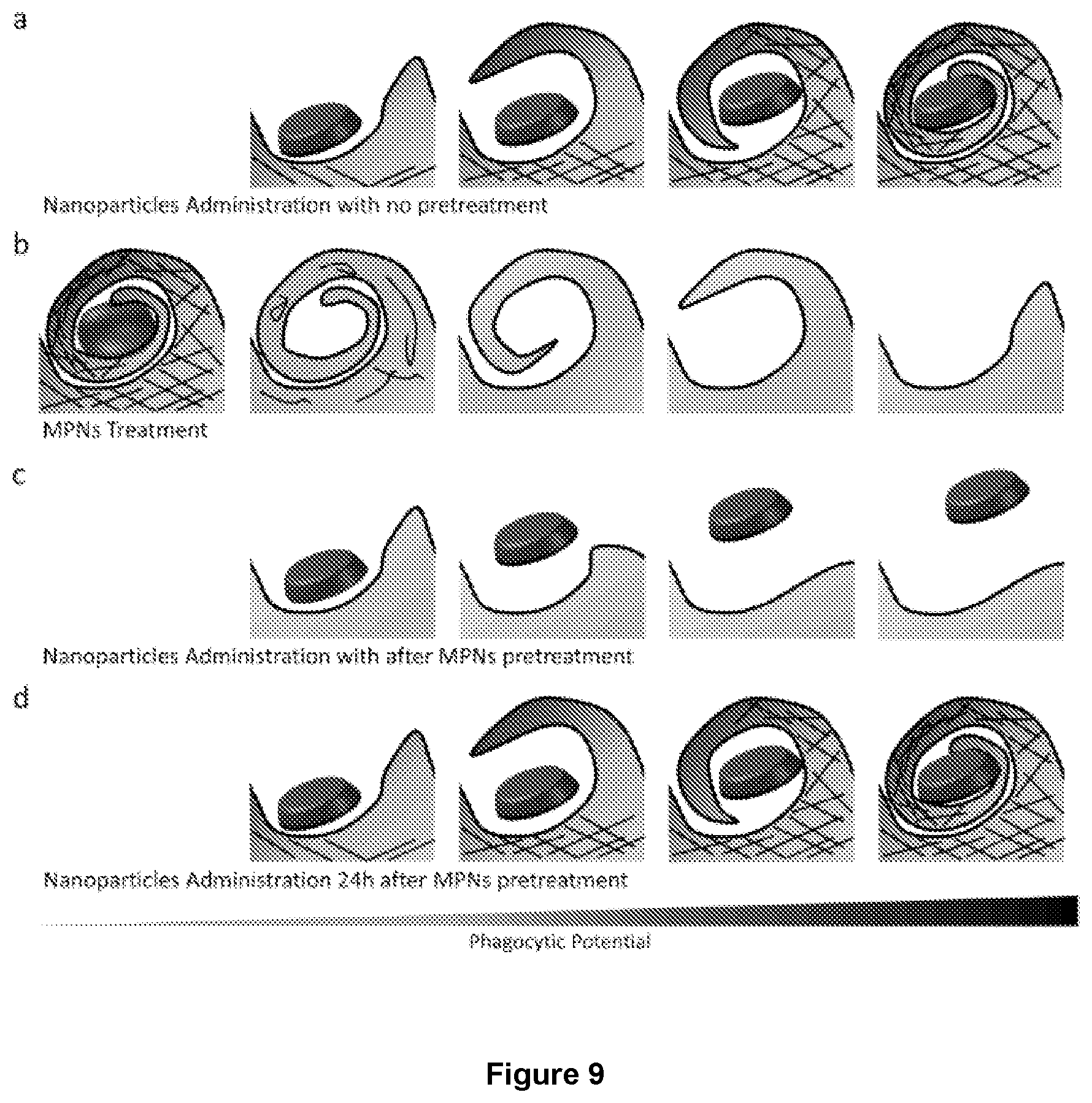 Patent US12569450 Figure 8 – Nanoparticles for medical and diagnostic applications