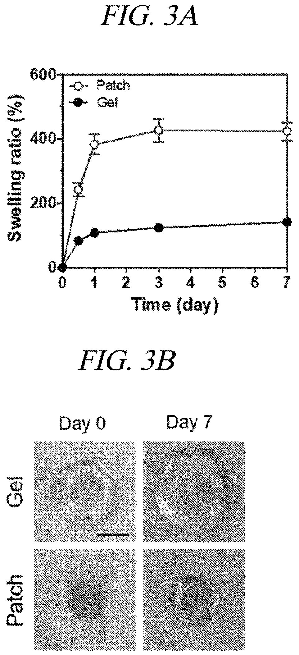 Patent US12569451 Figure 5 – Bio-inspired tissue-adhesive hydrogel patch and uses thereof