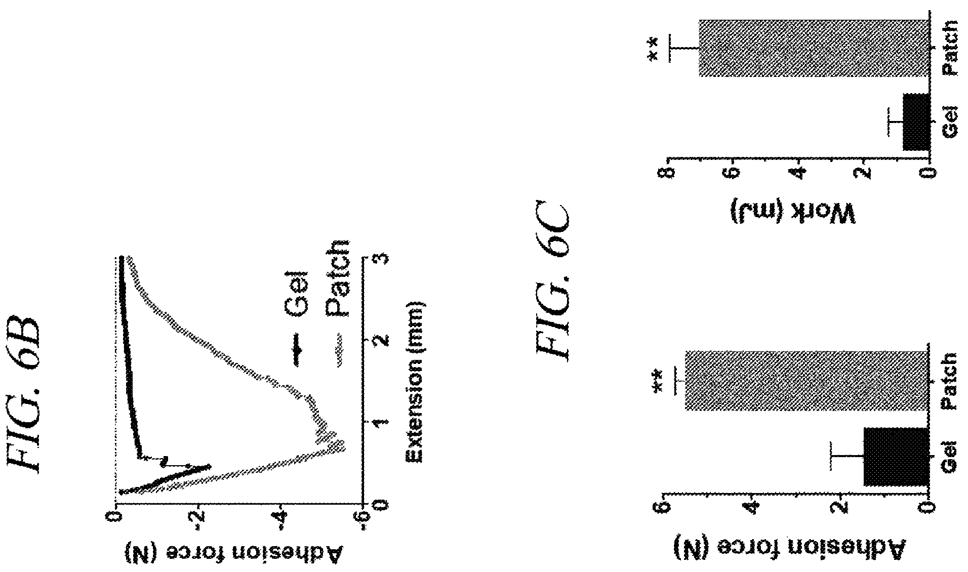 Patent US12569451 Figure 10 – Bio-inspired tissue-adhesive hydrogel patch and uses thereof