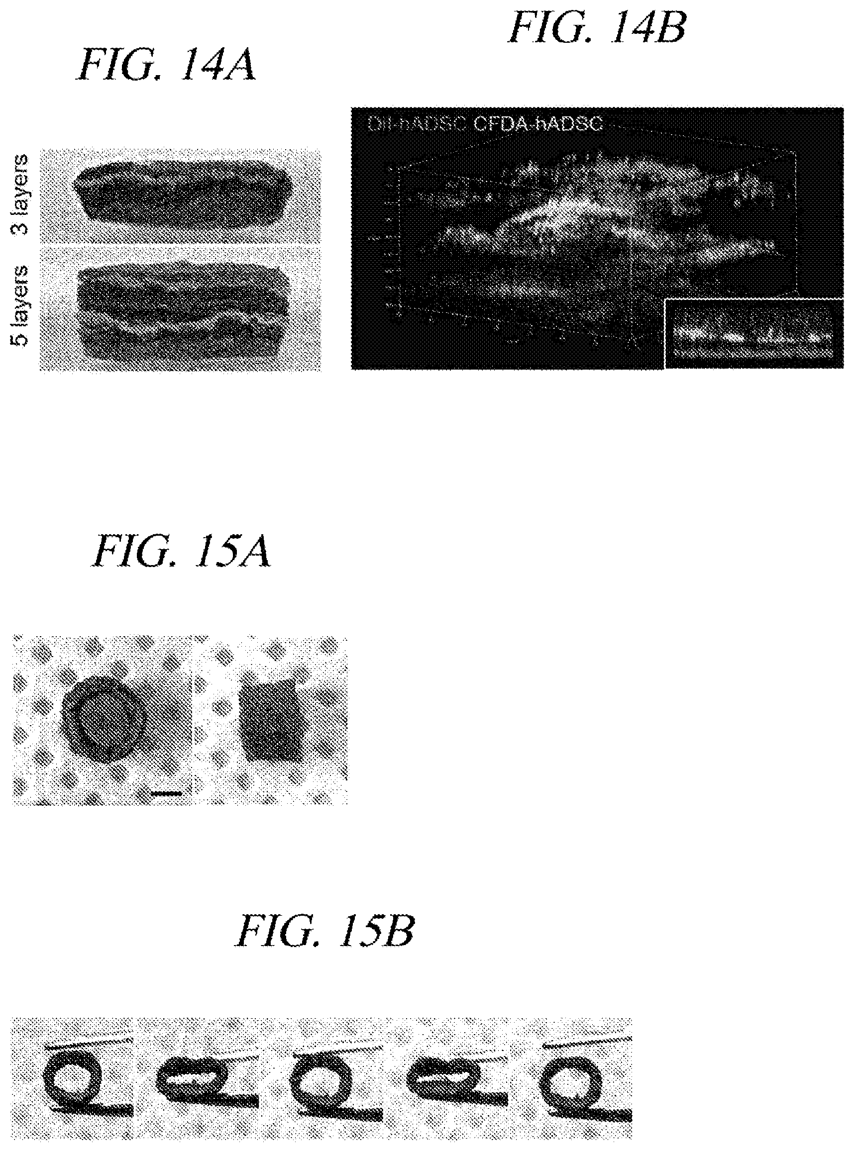Patent US12569451 Figure 18 – Bio-inspired tissue-adhesive hydrogel patch and uses thereof