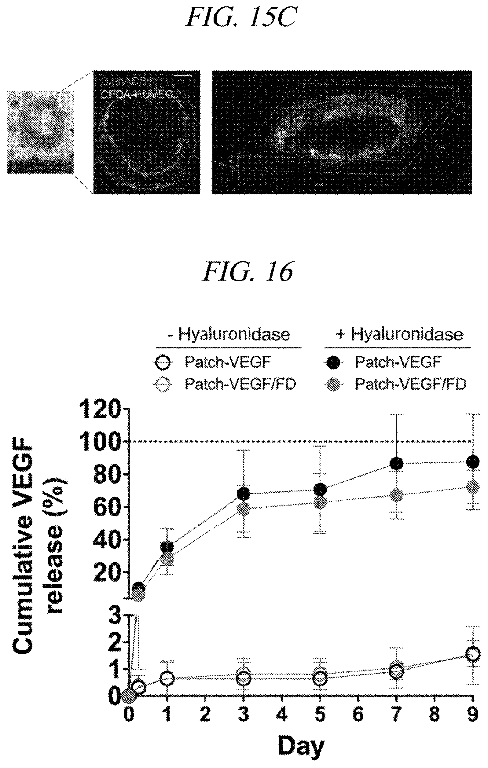 Patent US12569451 Figure 19 – Bio-inspired tissue-adhesive hydrogel patch and uses thereof