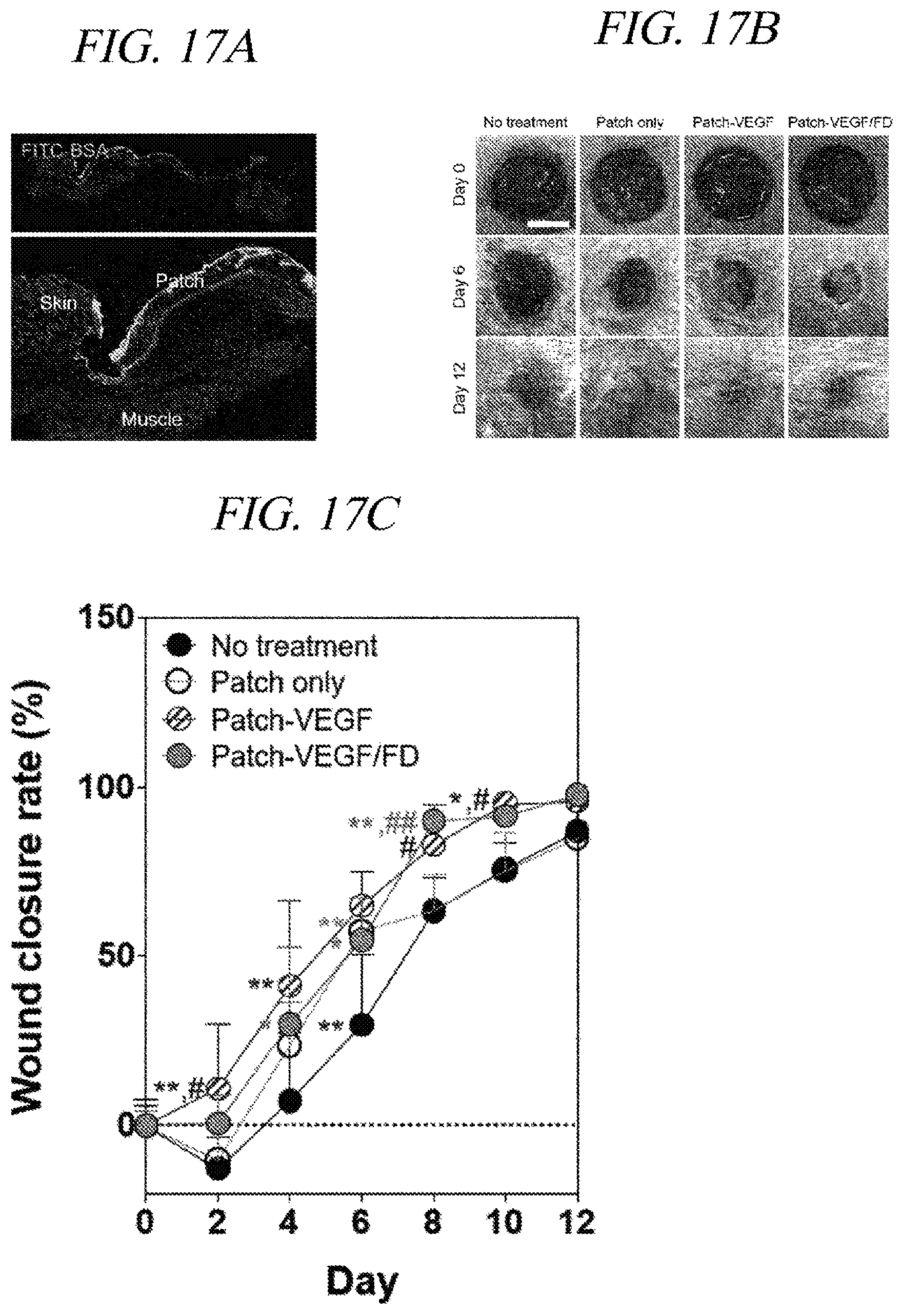 Patent US12569451 Figure 20 – Bio-inspired tissue-adhesive hydrogel patch and uses thereof