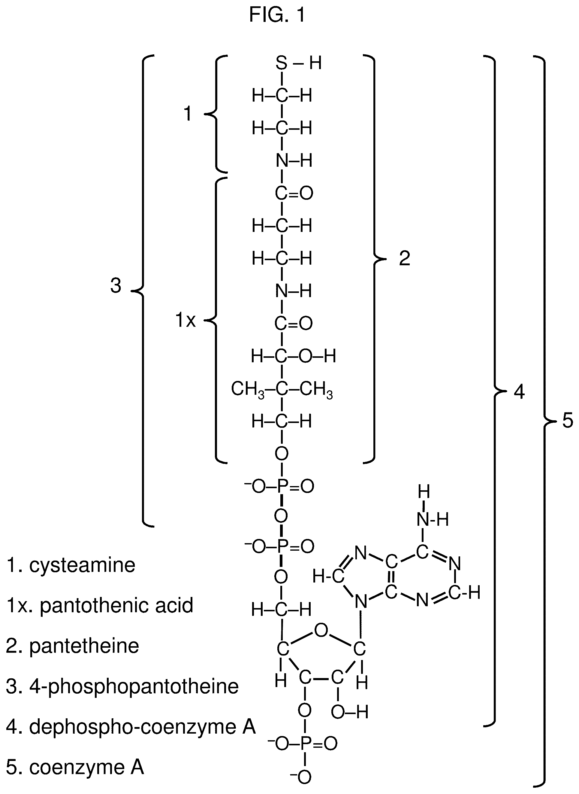 Patent US12569456 — Methods for the treatment of cysteamine sensitive disorders — Figure 1