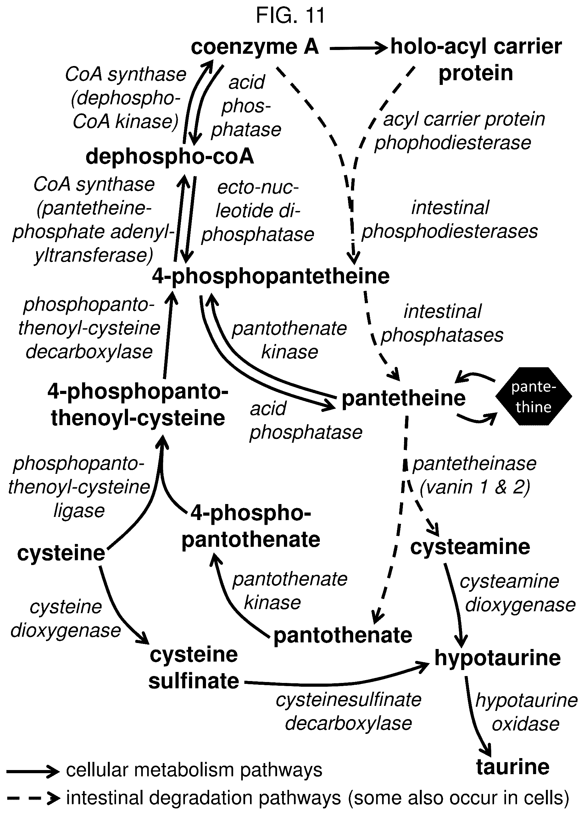 Patent US12569456 Figure 11 – Methods for the treatment of cysteamine sensitive disorders
